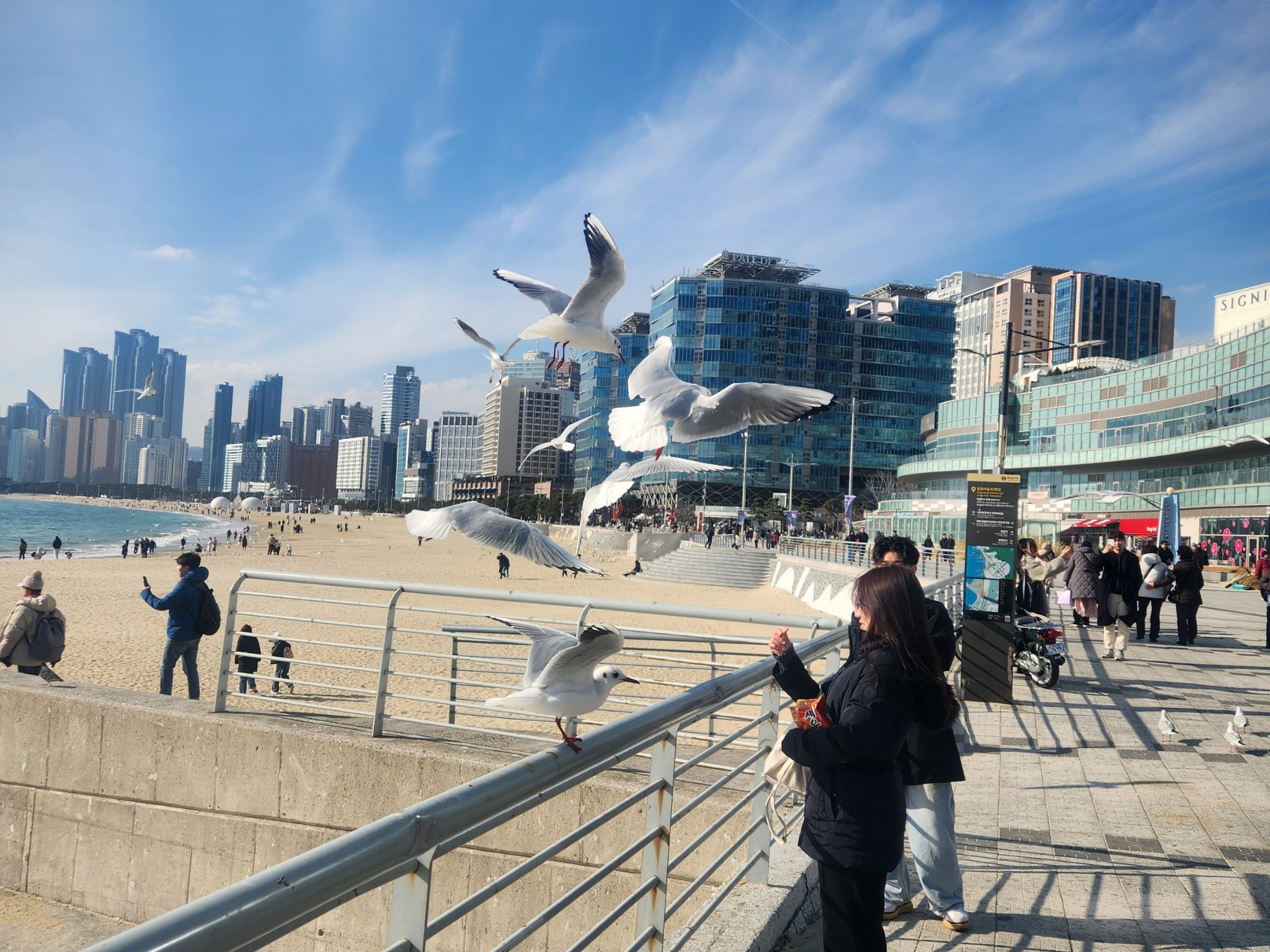 釜山 (Busan) 城市觀光遊