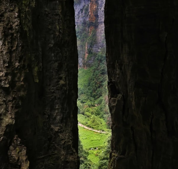 Chongqing Wulong Tiansheng Three Bridges + Longshuixia Ground Crack/Fairy Mountain Forest Park One-Day Tour (Karst Geological Wonders, Mountain Grassland Scenery, Multiple Group Types Optional)