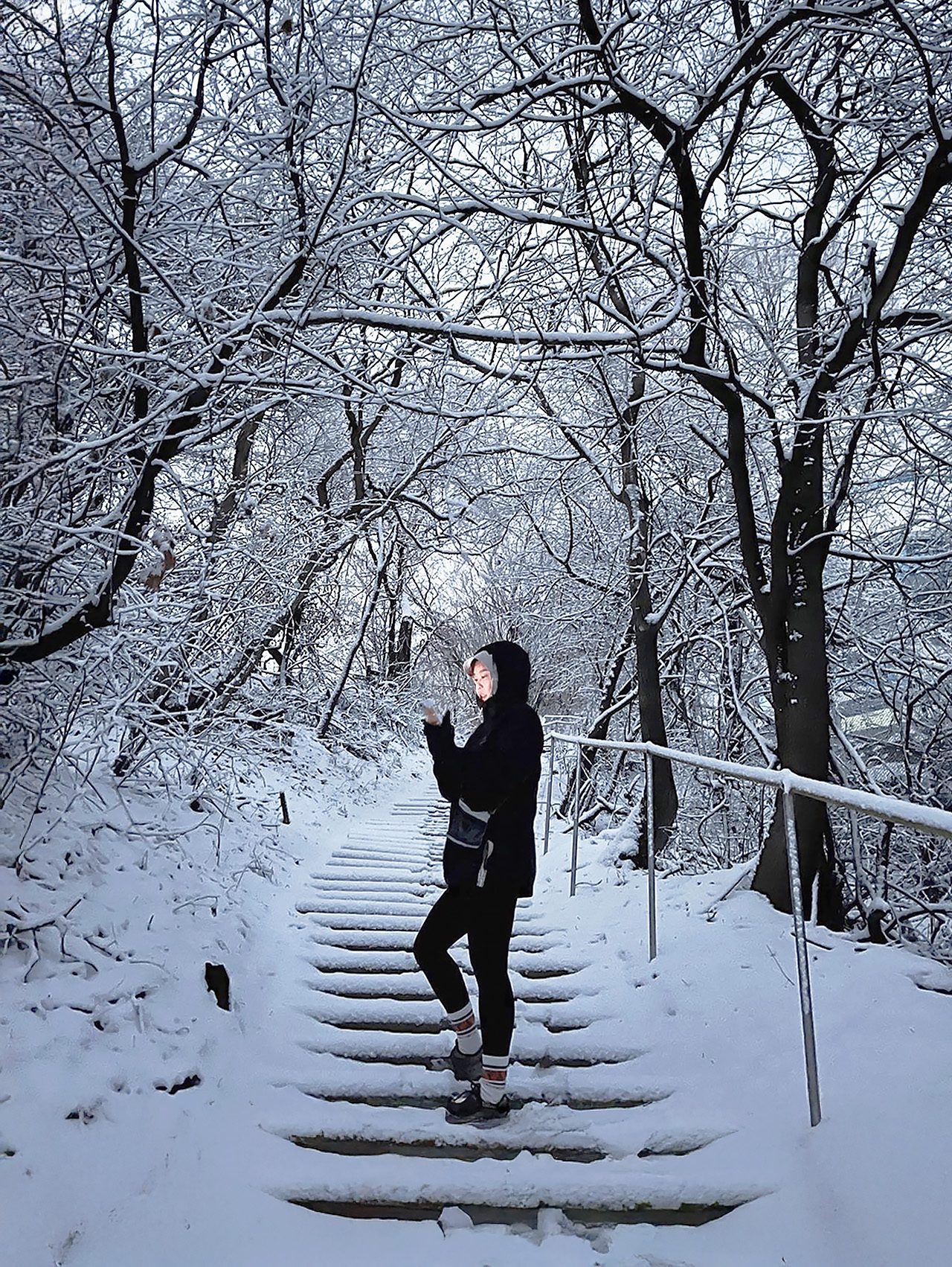 一個美麗的冬季之旅，讓您親近大自然，享受清新涼爽的空氣。