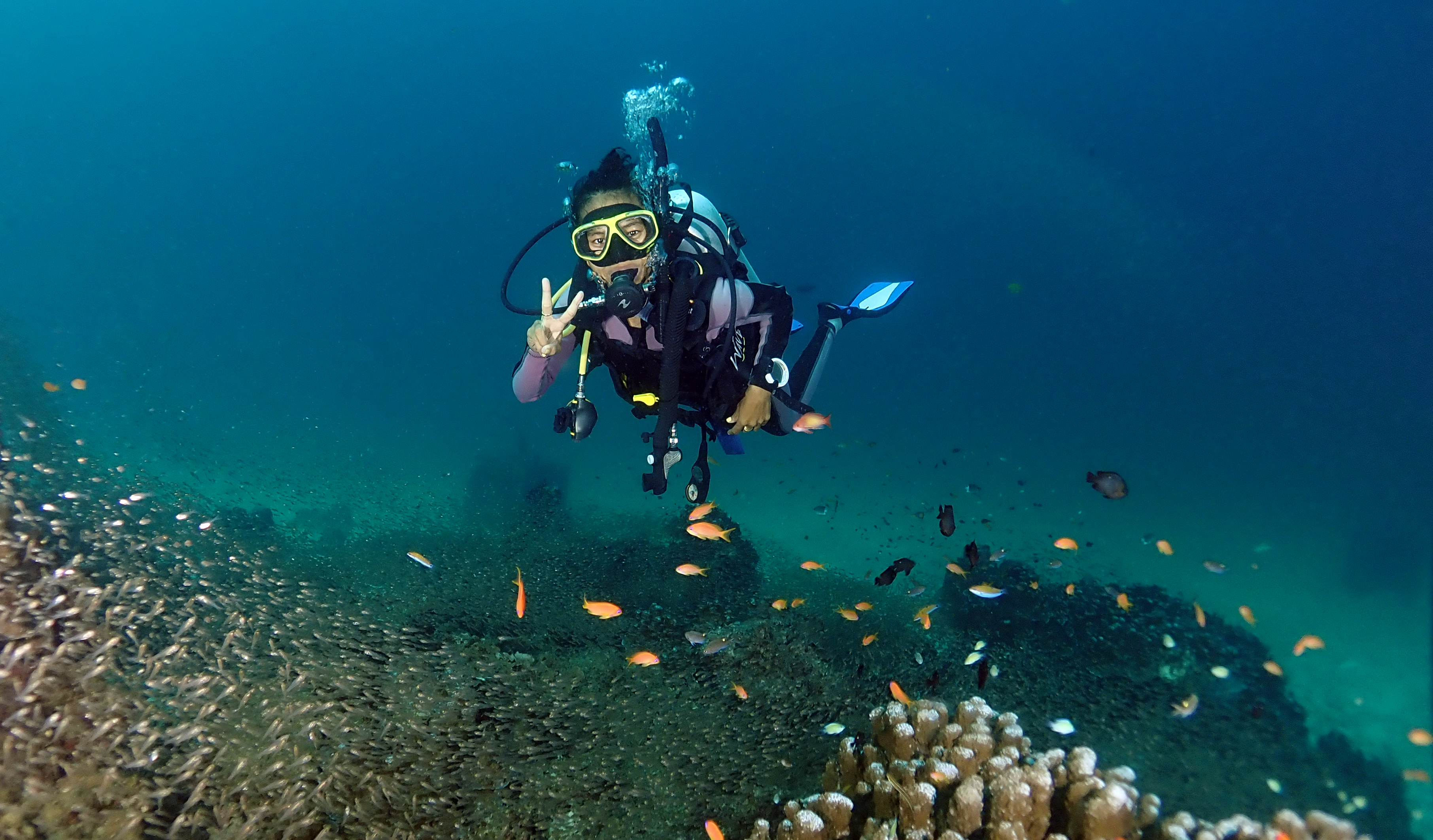 3 Dive Tour in Phuket with PADI 5 Star Dive Center