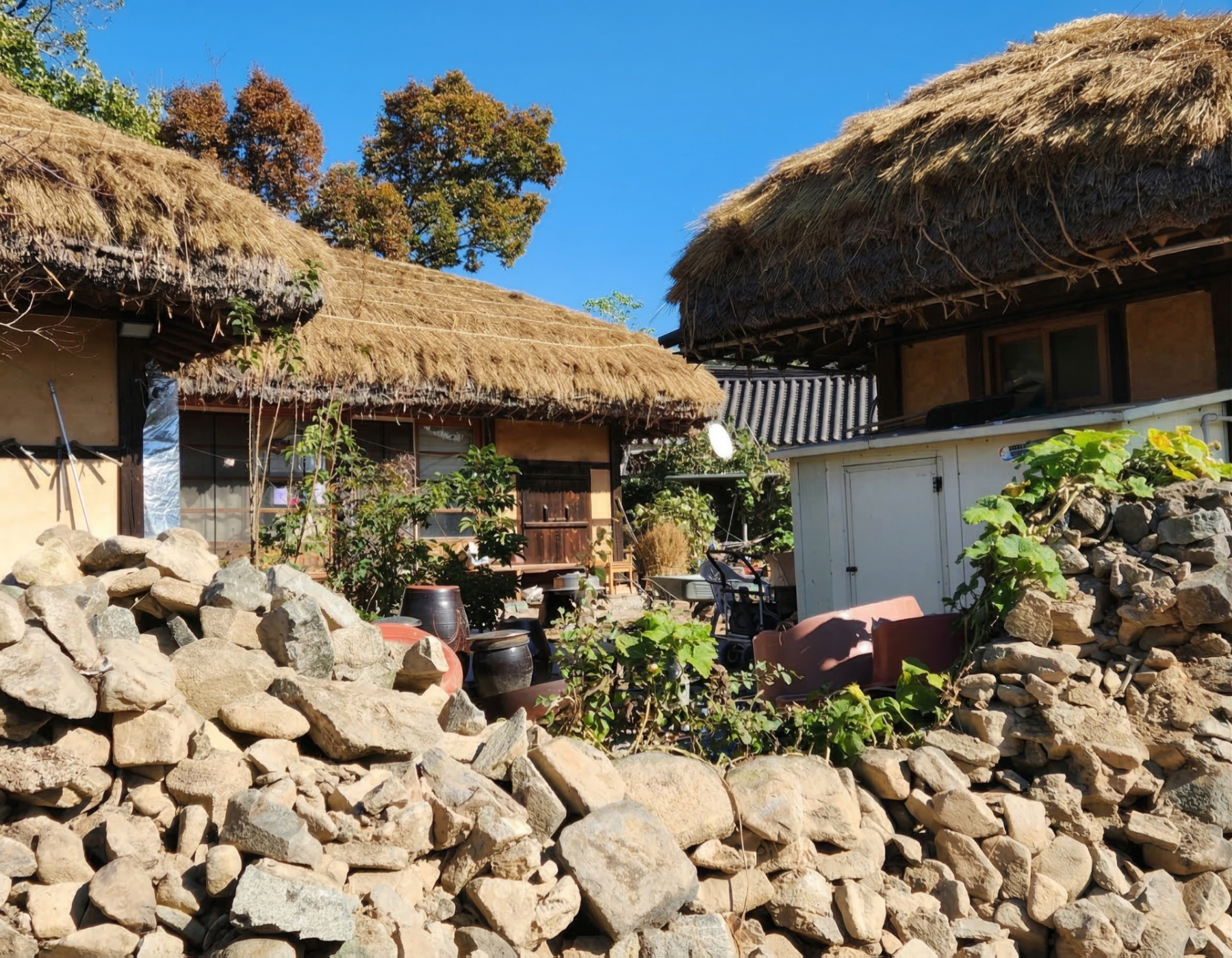 探索舒適的茅草屋庭院。在葫蘆藤、傾頹的石牆和醬缸之間，感受質樸寧靜的韓式氛圍。這是一個窺探真實生活痕跡的珍貴時刻，而非僅僅是博物館的展示。