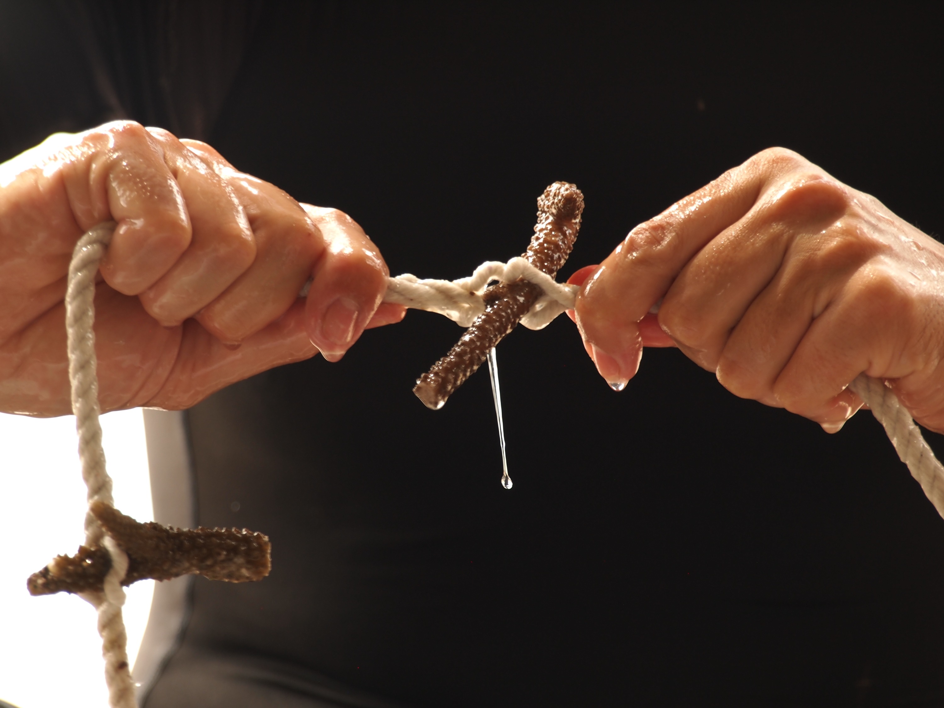 Join us to learn our techniques and leave a sustainable impact for generations to come!