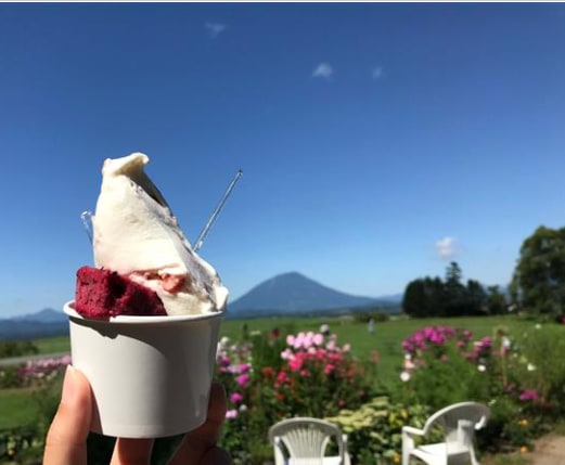 可以品嚐北海道新鮮牛奶製作的冰淇淋。 可以品嚐北海道新鮮牛奶製作的冰淇淋。