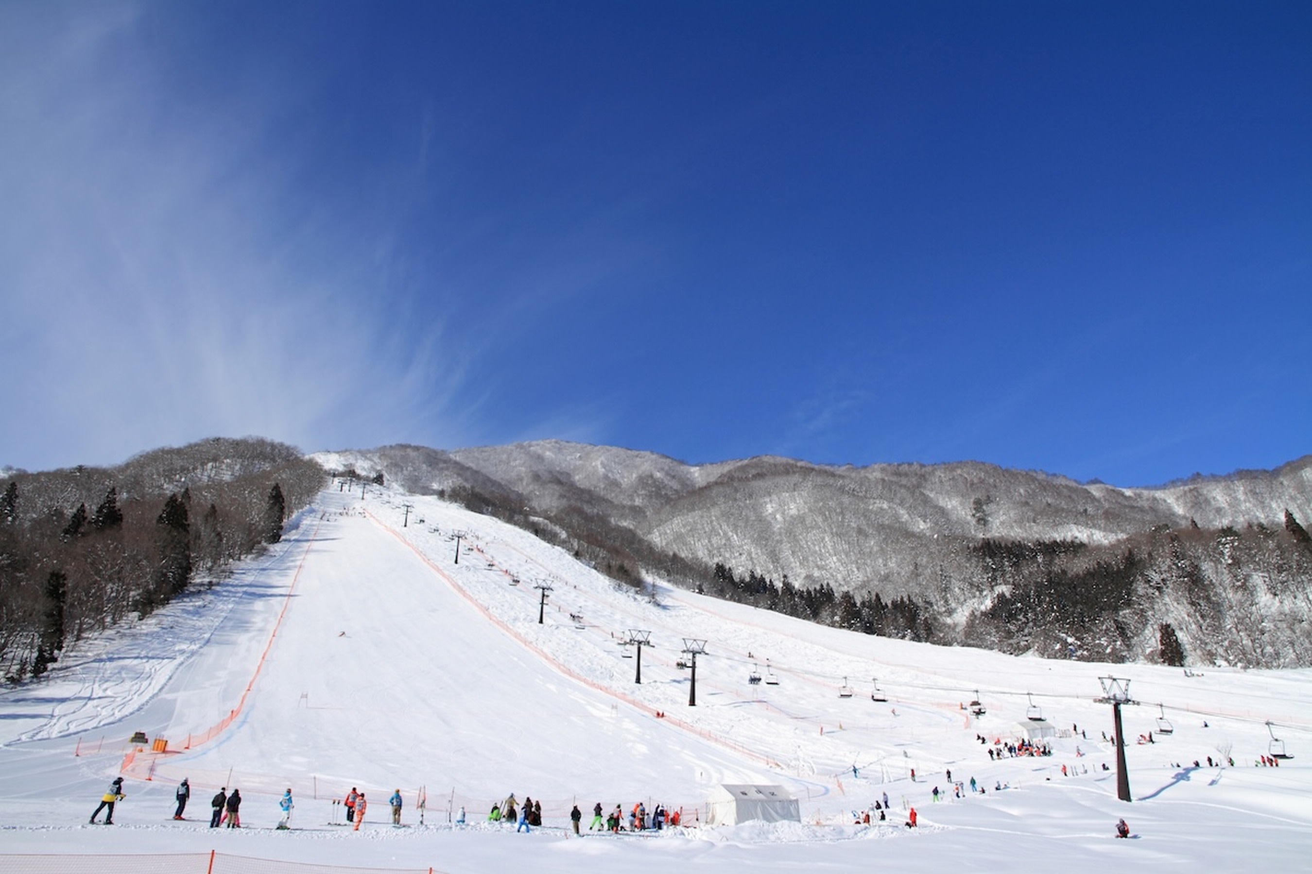 Hakuba Goryu va Hakuba47: Lift chiptasi + chang'i/snowboard ijarasi (Hakuba 47)