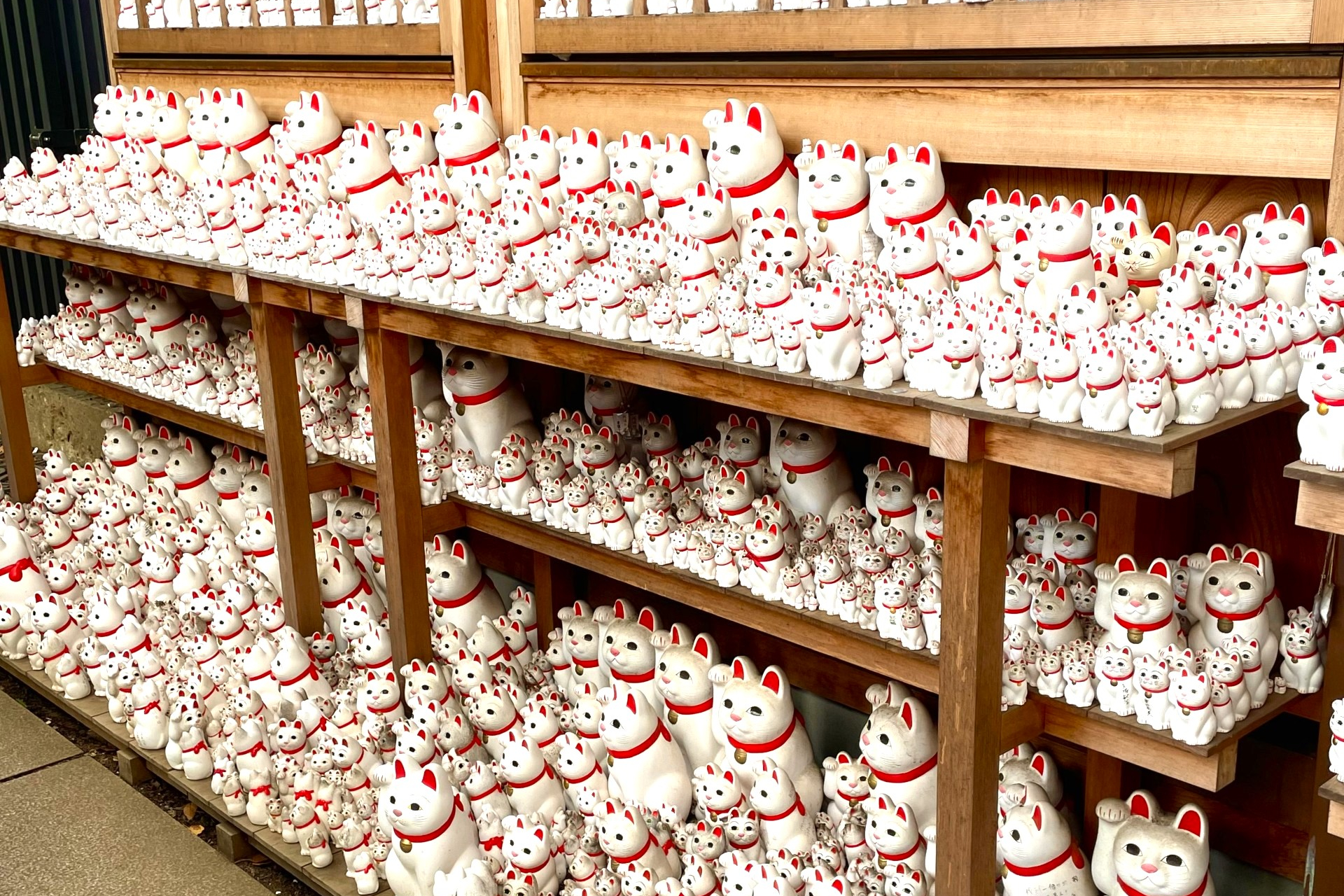 Gotokuji Cat temple, Shinjuku Cat cafe and 3D Cat tour