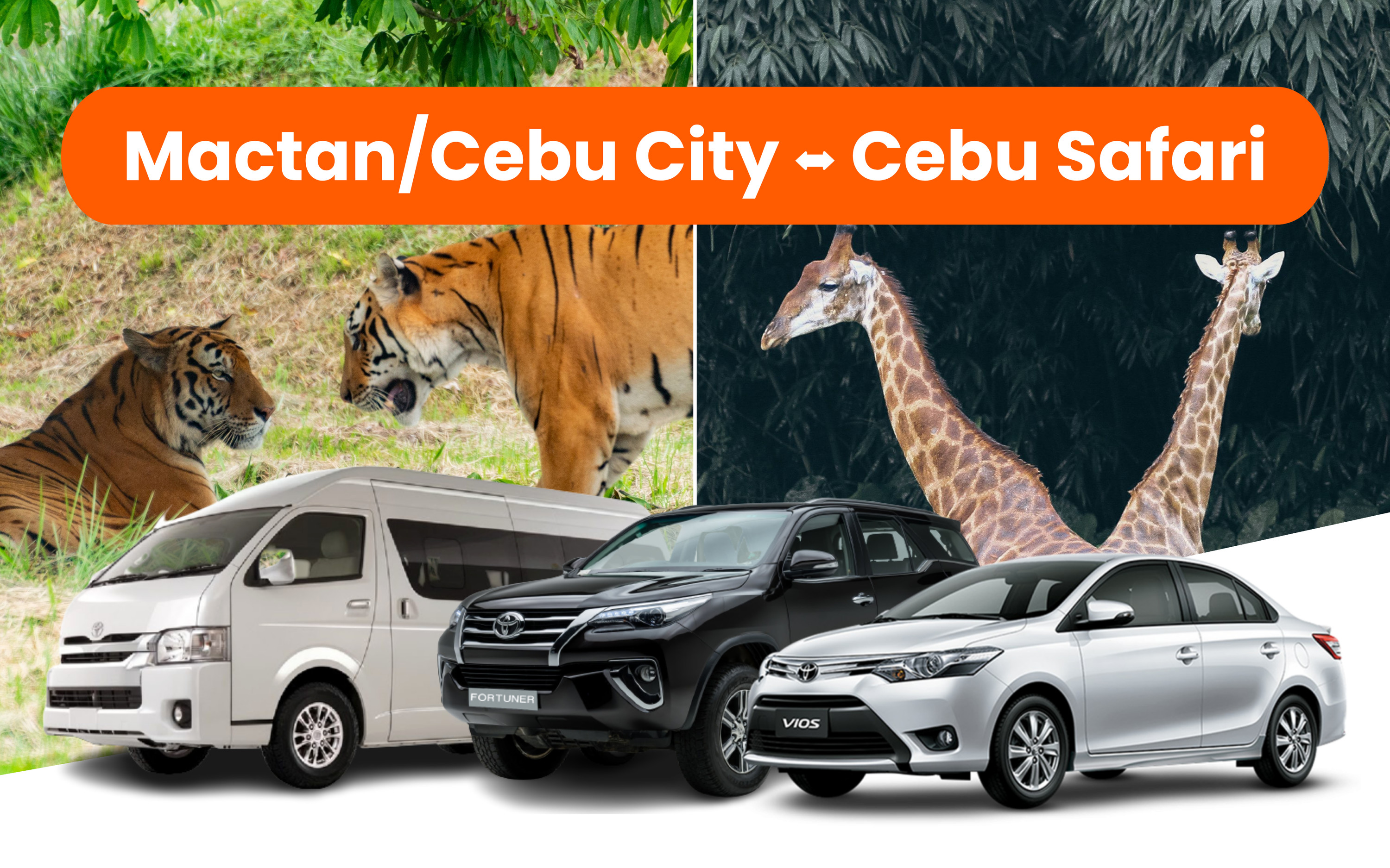 Cebu Private Transfers between Cebu City/Mactan and Cebu Safari
