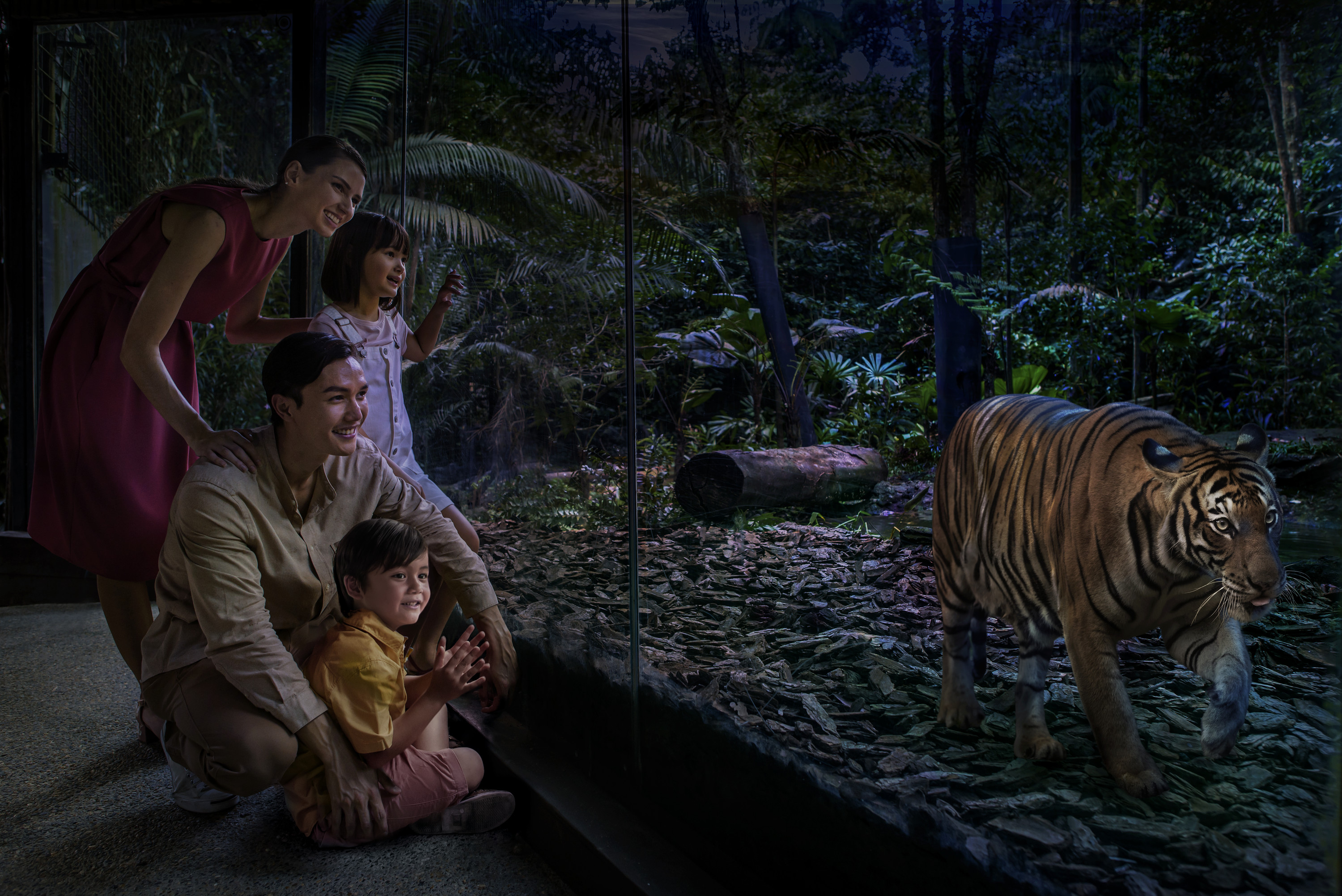 Билет в Ночной сафари | Заповедник дикой природы Мандай, Сингапур