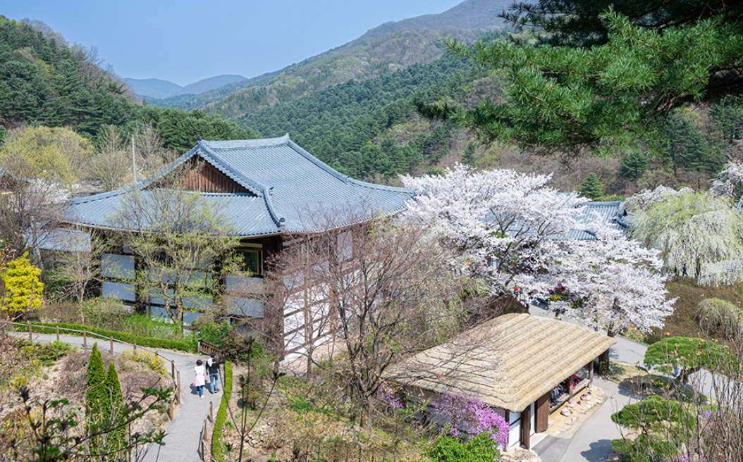 南怡島+小法國村&意大利村+江村腳踏車 一日遊