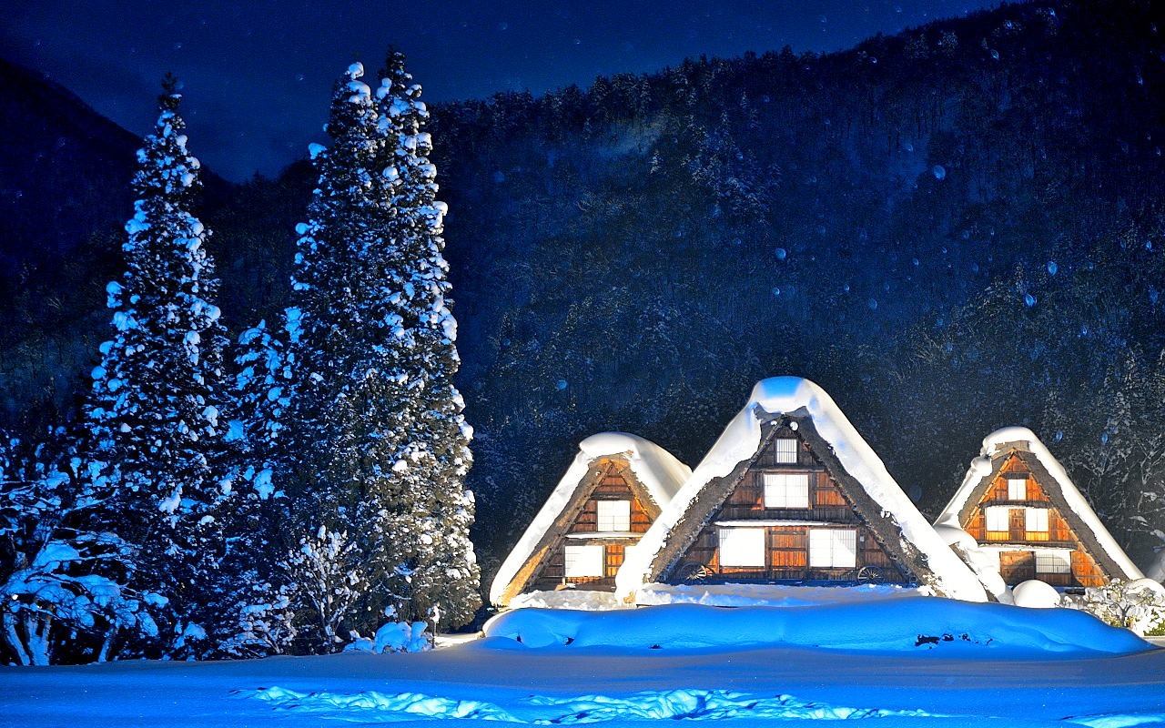 [Limited Winter Season/Nagoya Departure] 2026 World Heritage Shirakawa-go Gassho Village Light Up (Hida Beef Yakiniku Set Meal Upgrade Available)