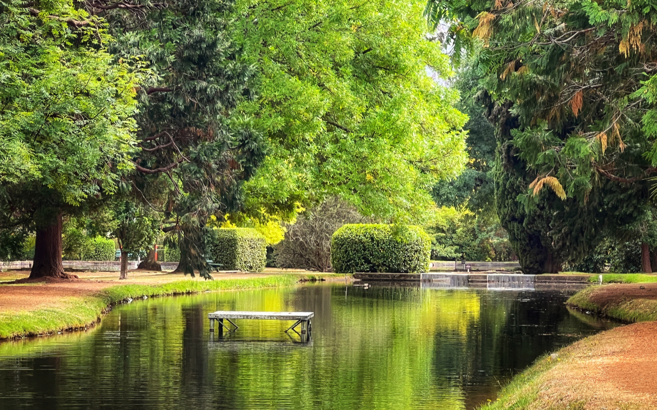 Soaking in the vibrant green beauty and peaceful park reflections