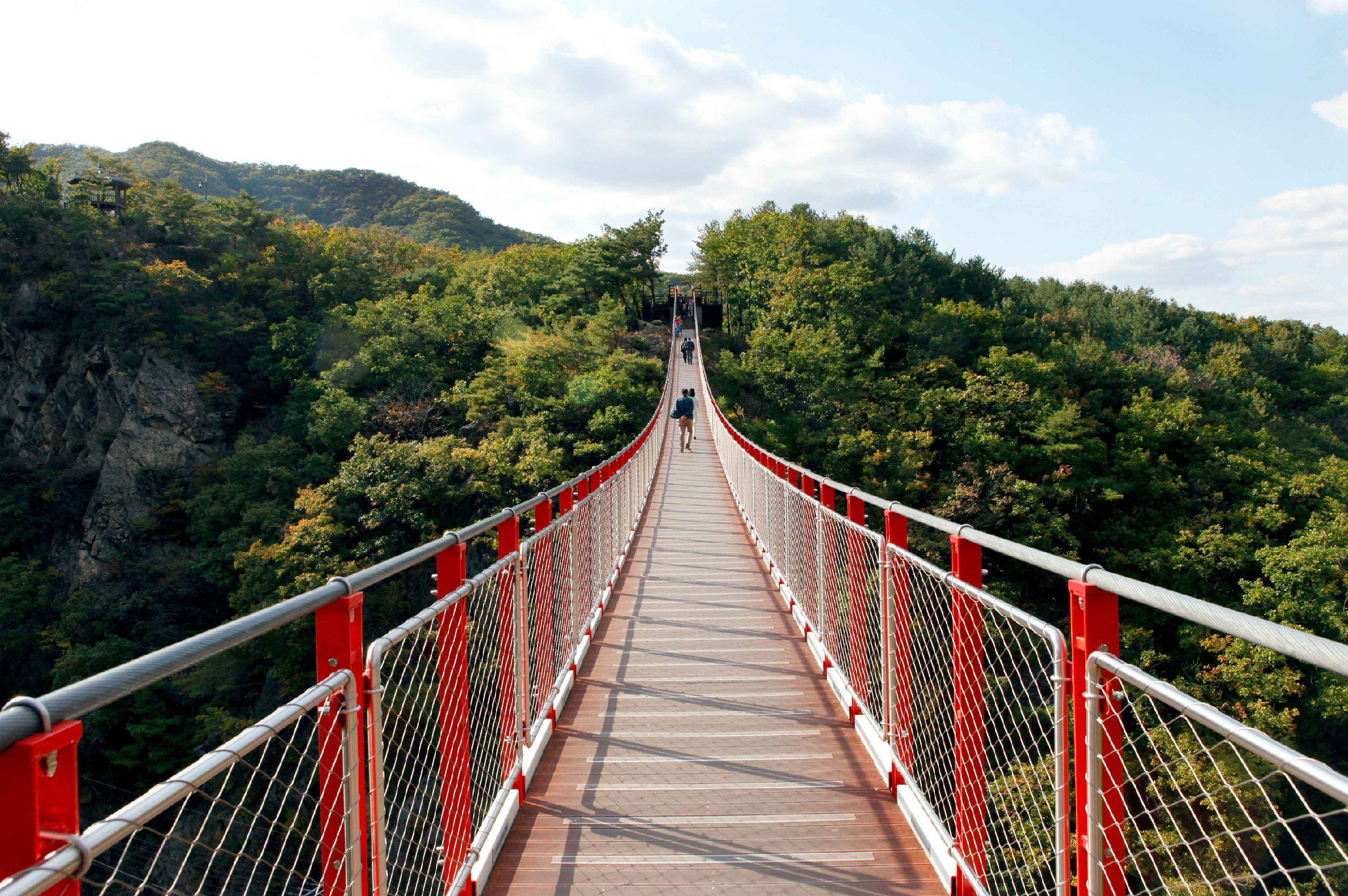 首爾市 & 季節性熱門景點一日遊