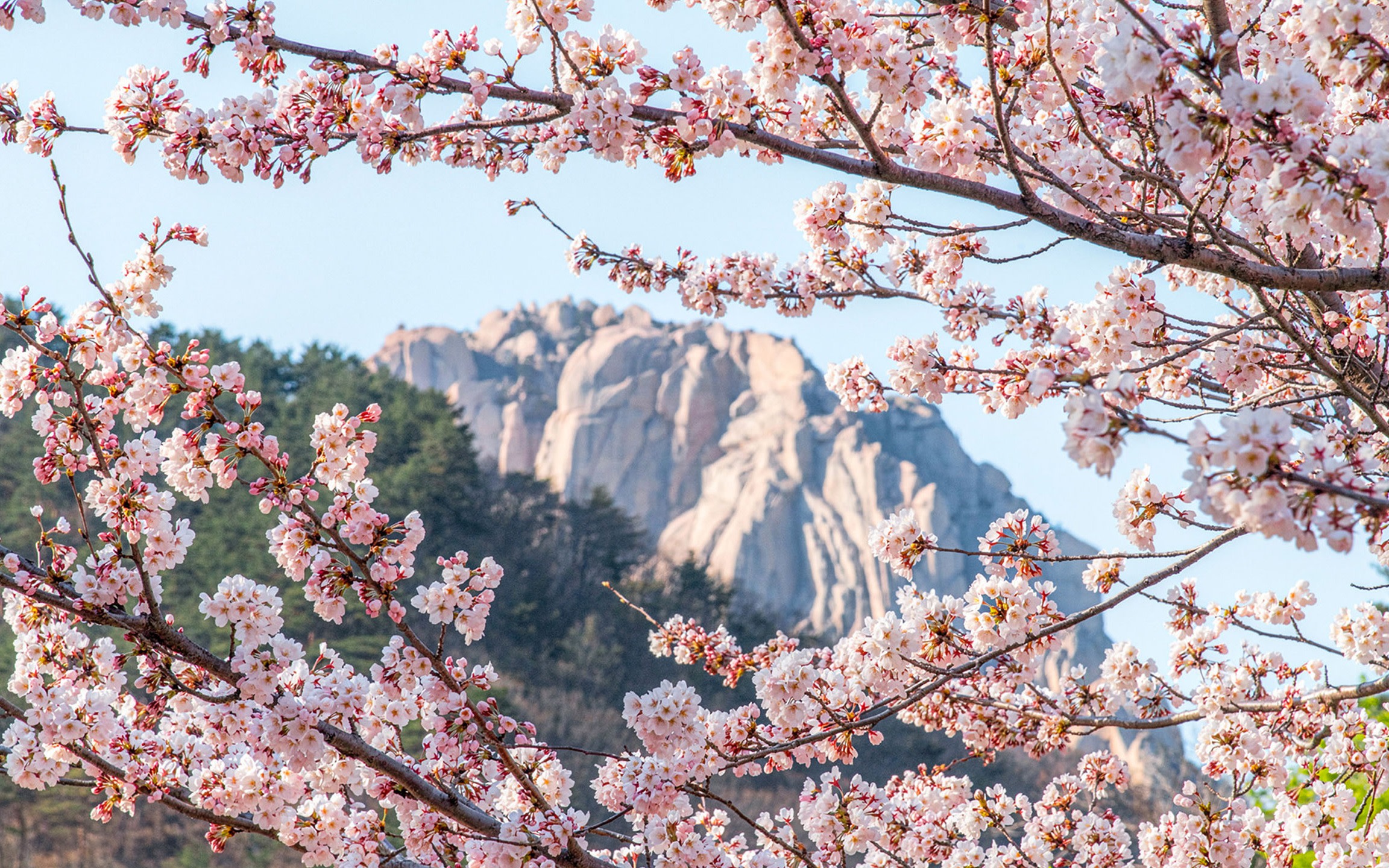 Seoul Seoraksan & Naksansa Temple Full-Day Guided Tour