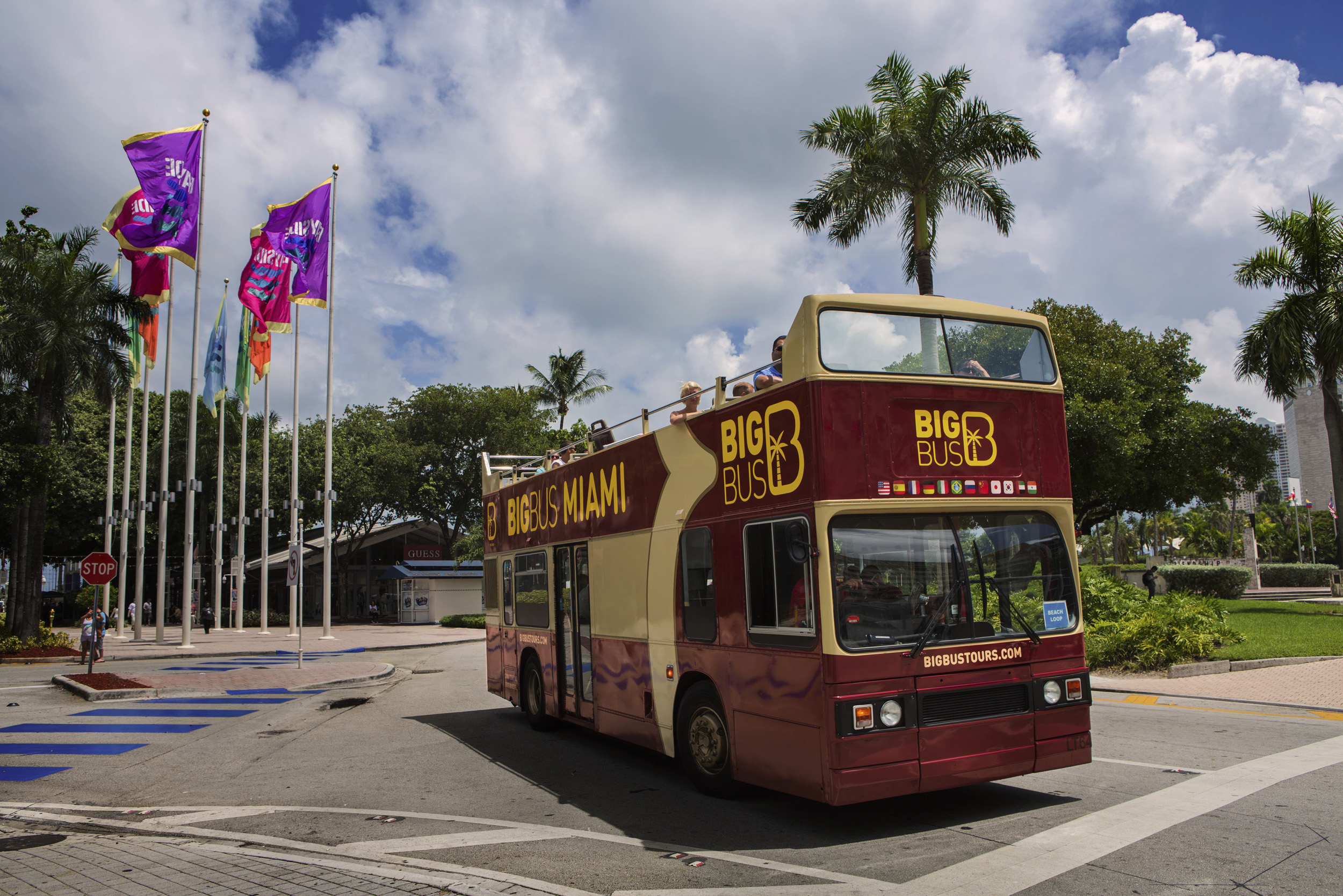 邁阿密 Big Bus 隨上隨下觀光巴士之旅（敞篷）