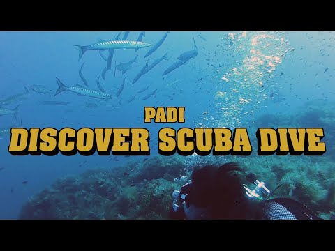 Ustica's Underwater Prelude: Discover Scuba Diving with PADI Center