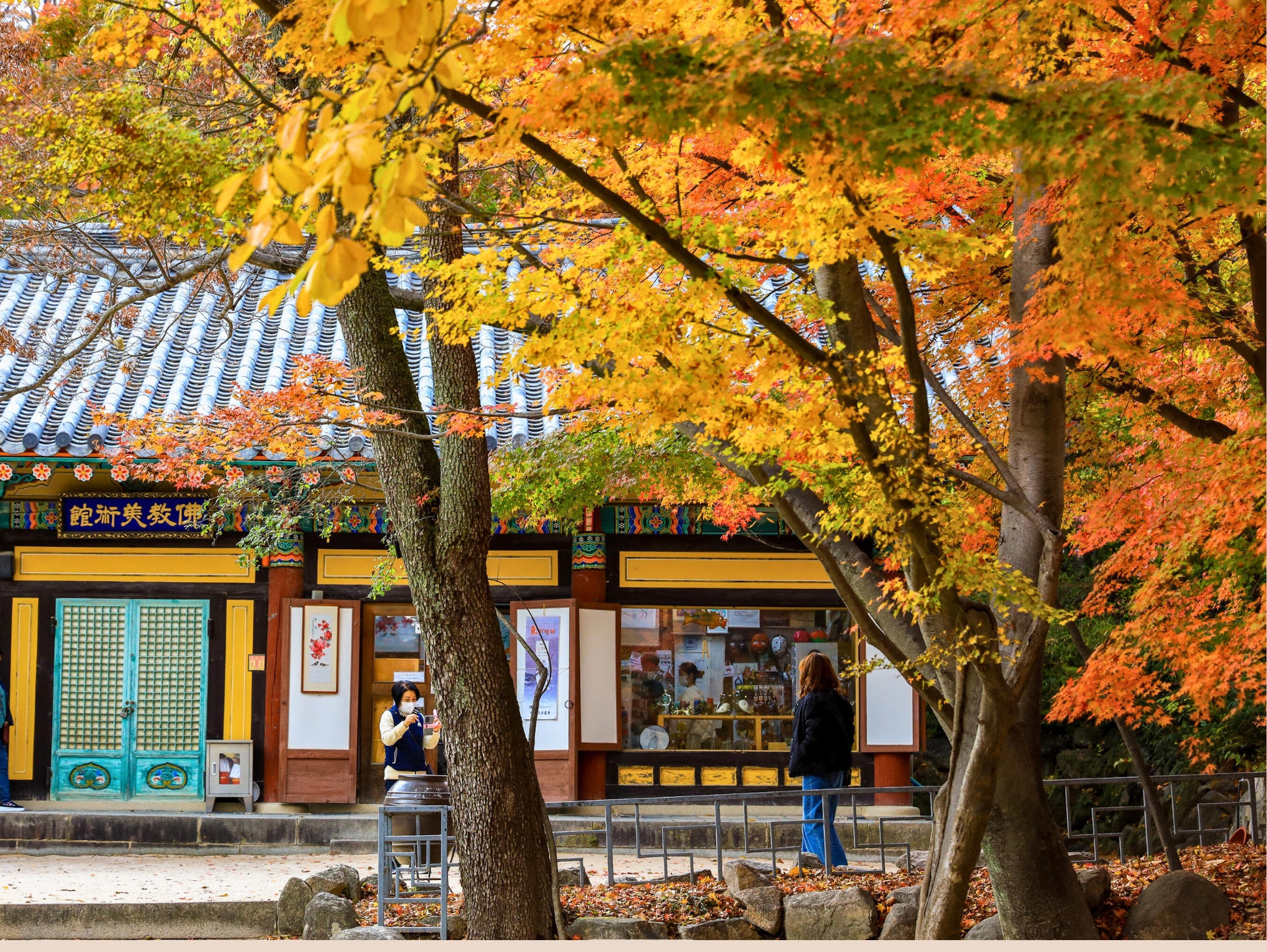 慶州黃理團路×佛國寺秋楓之旅（釜山）