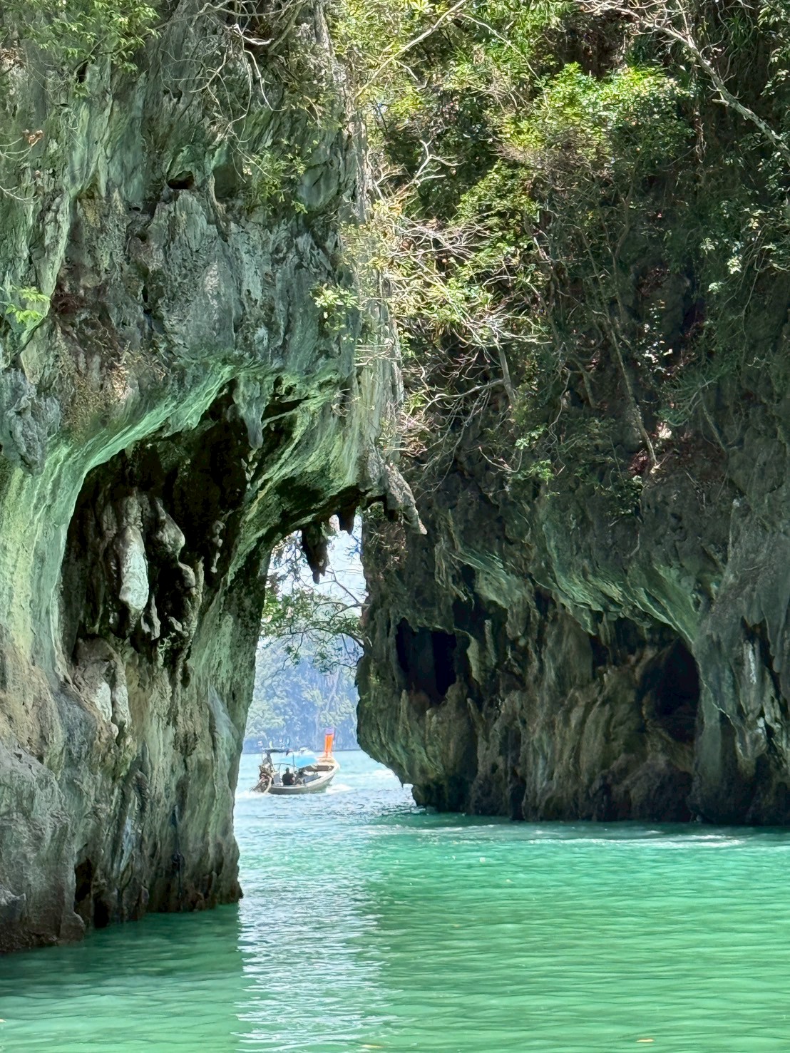 從甲米出發：宏島浮潛之旅（快艇，可選皮划艇）