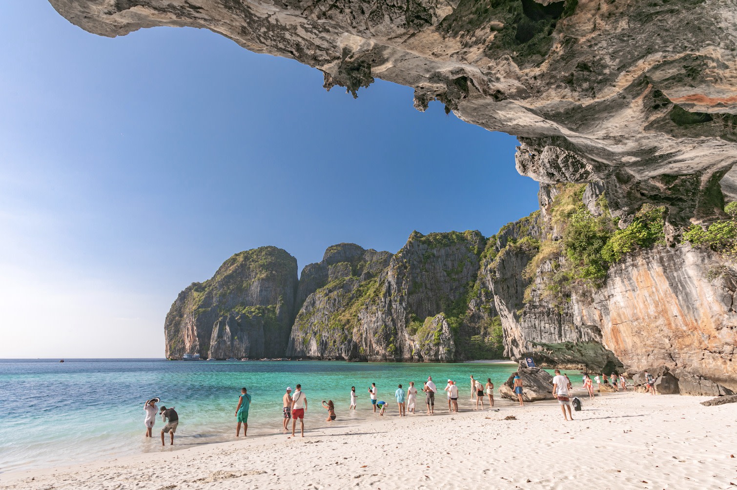 Phuket Maya Beach & Ko Phi Phi Le Full-Day Island Hopping Tour