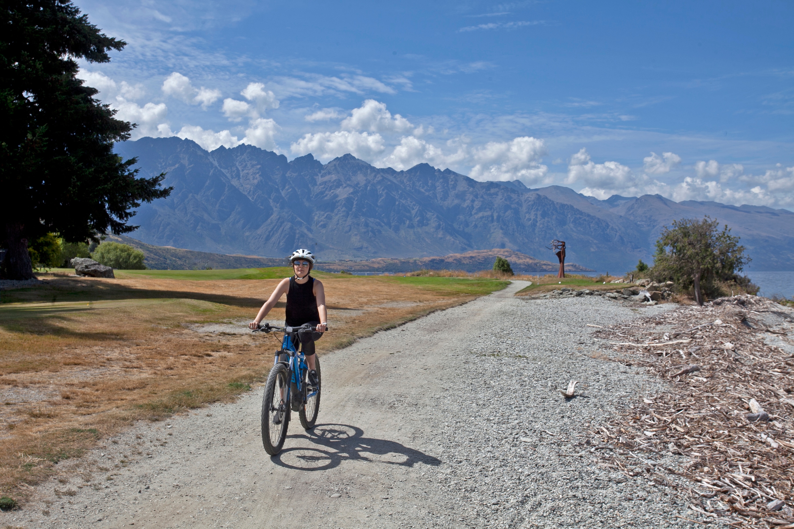 Ride to Riches Arrowtown to Queenstown with One-Way Shuttle