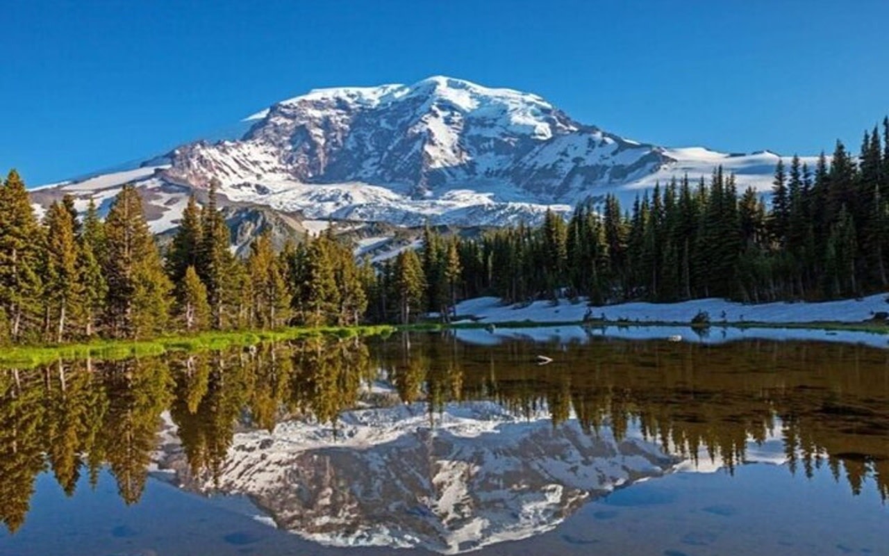 Mt. Rainier Small Group Tour from Portland