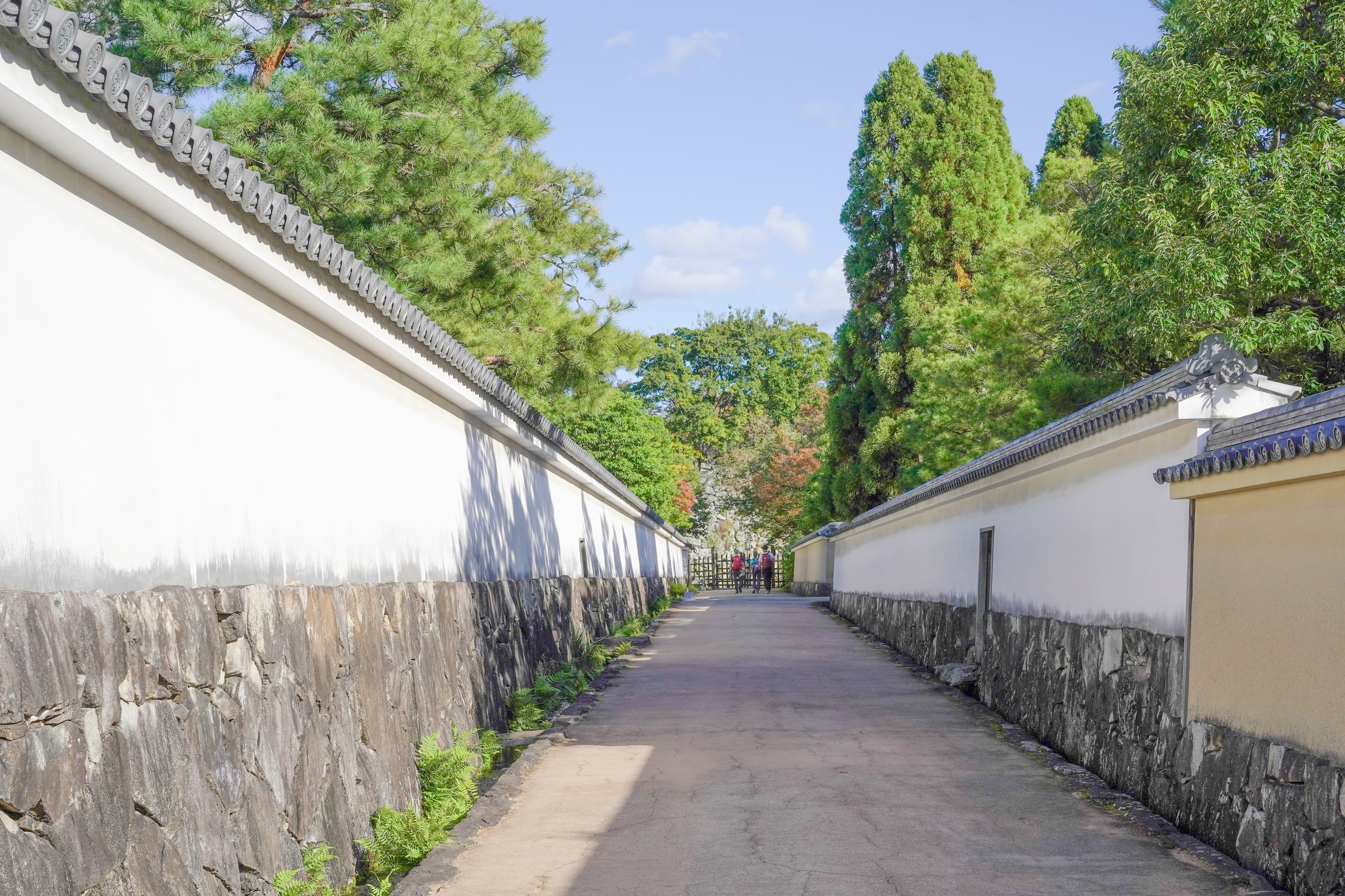 回顧您在一天中體驗到的非凡歷史、文化和美景。 回顧您在一天中體驗到的非凡歷史、文化和美景。