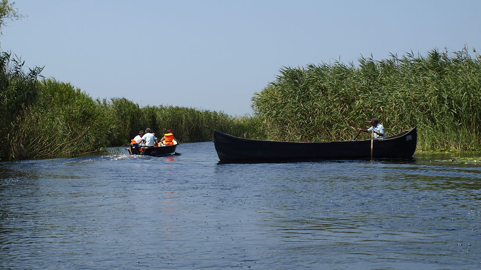 Wild Danube – One-Day Trip in the Delta with Local Guide and Boat