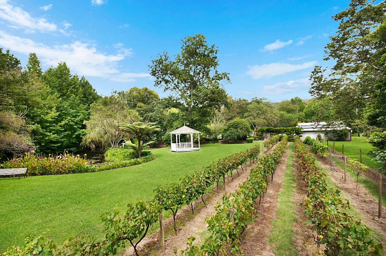 Explore the beautiful gardens at Firescreek Botanical Winery