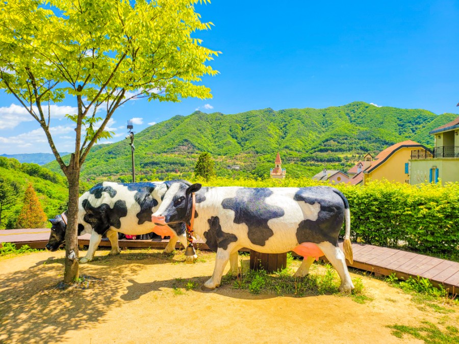 遊客可以欣賞風景如畫的阿爾卑斯風格建築、文化表演，以及展現瑞士傳統的動手體驗活動。