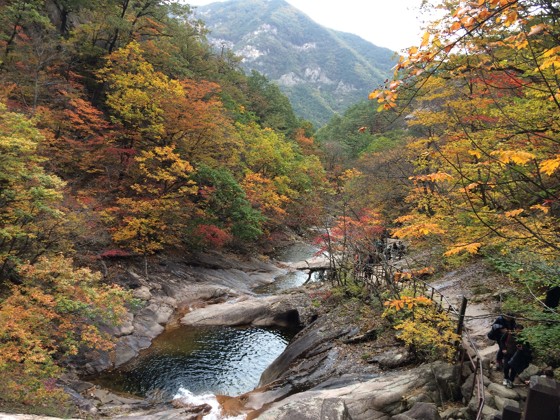 山間岩石與溪流，構成美麗的秋葉景觀。