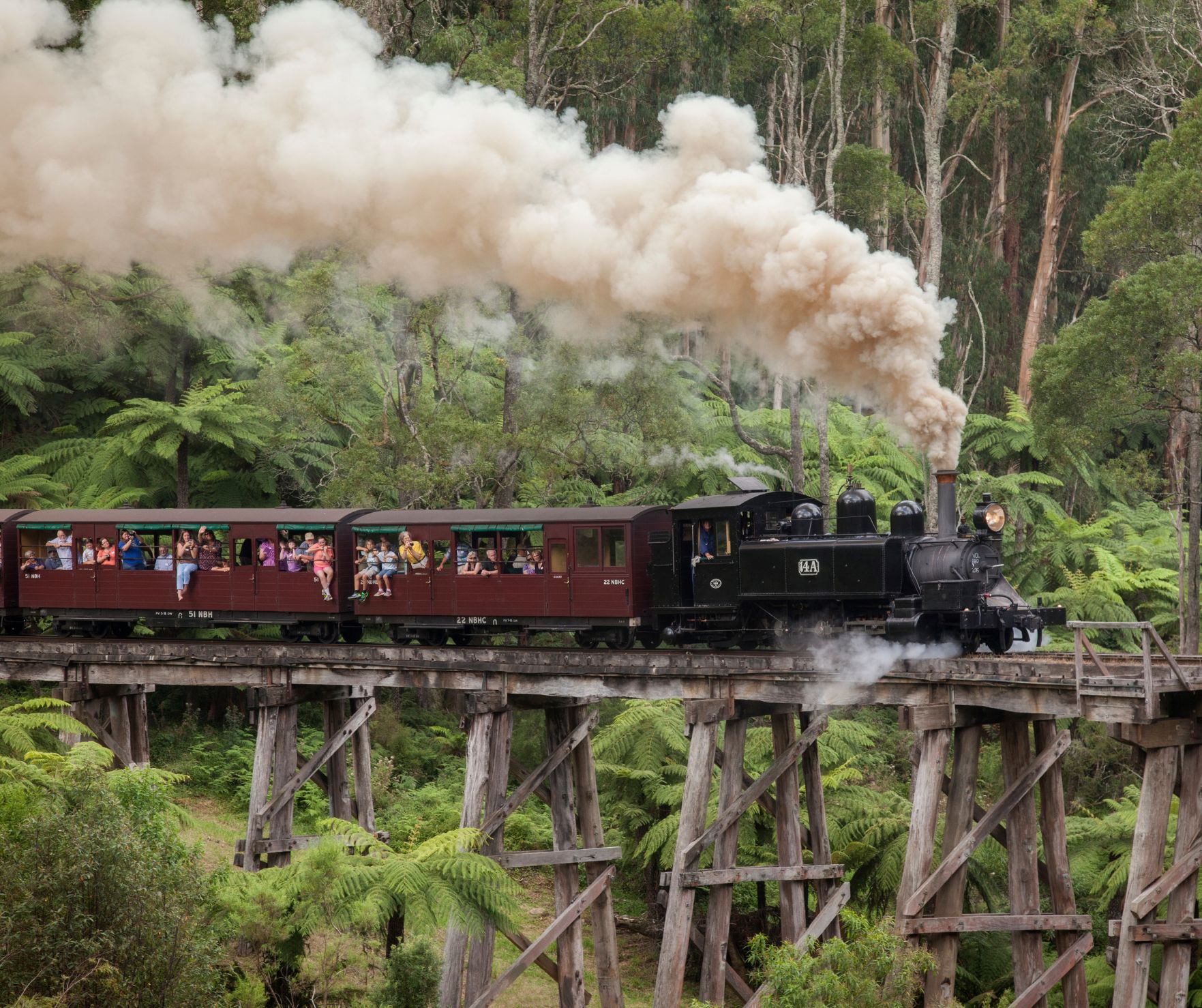 墨爾本 Puffing Billy 蒸汽火車半日遊