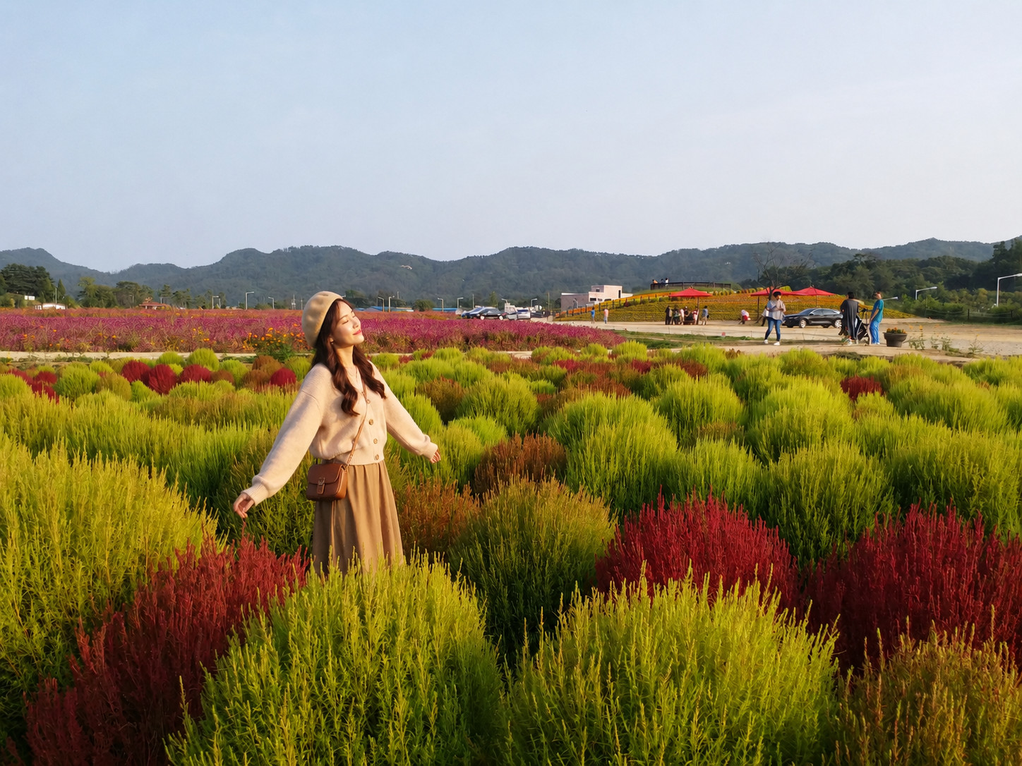 Seoul Tour | Autumn Flowers One Day Tour in Gyeonggi-do / Incheon