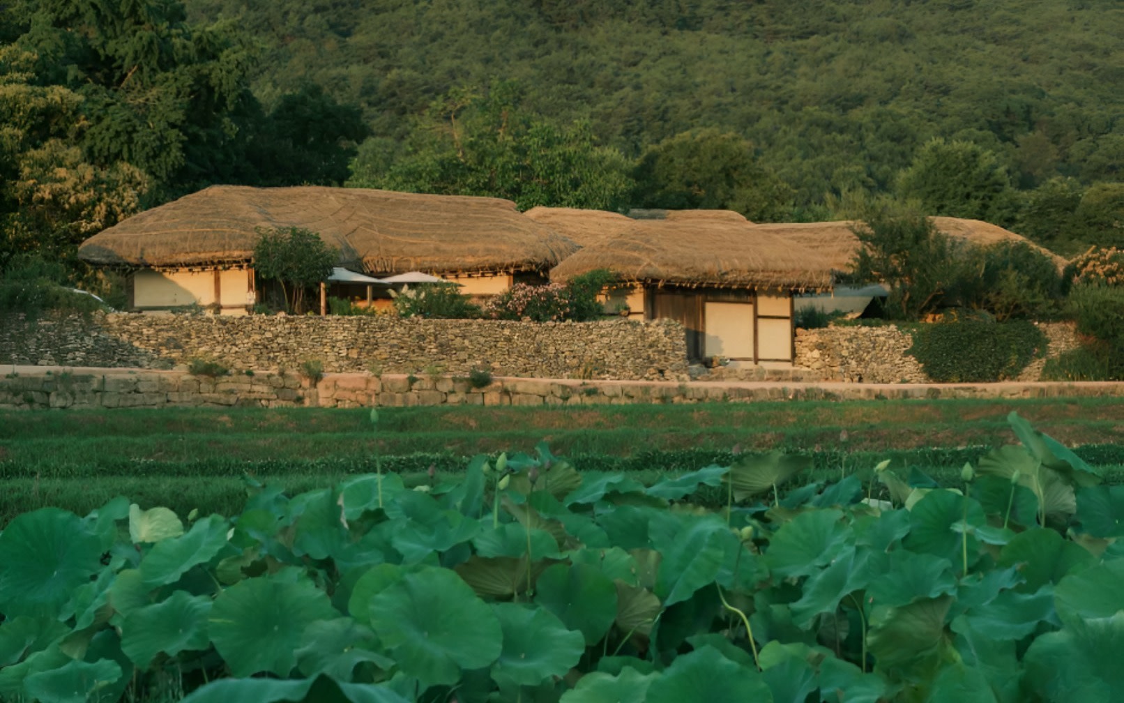 [Instagrammable Asan] Floral Paradise & 500-Year Fairy Village