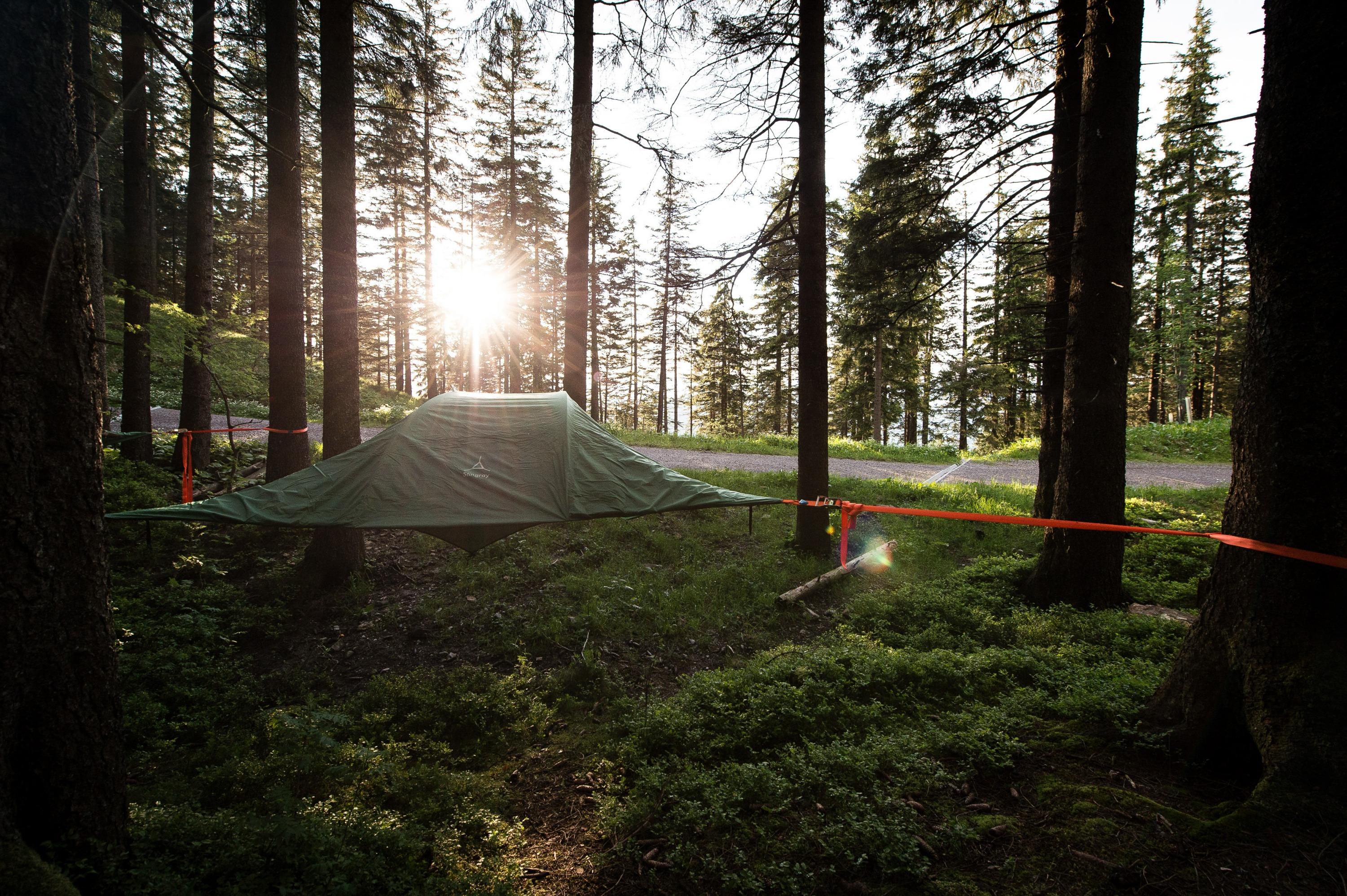 tent