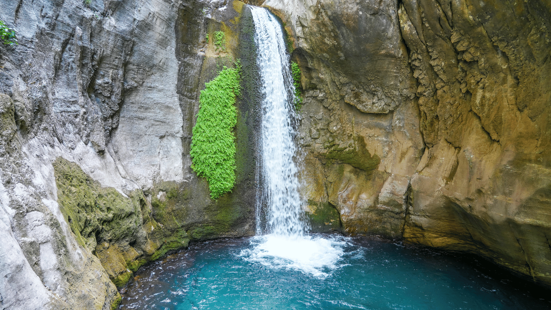 Полнодневный тур по каньону Сападере из Сиде