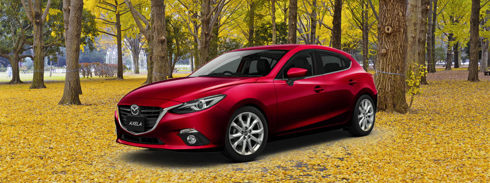 1-6 Day Car Rental (Low Season)