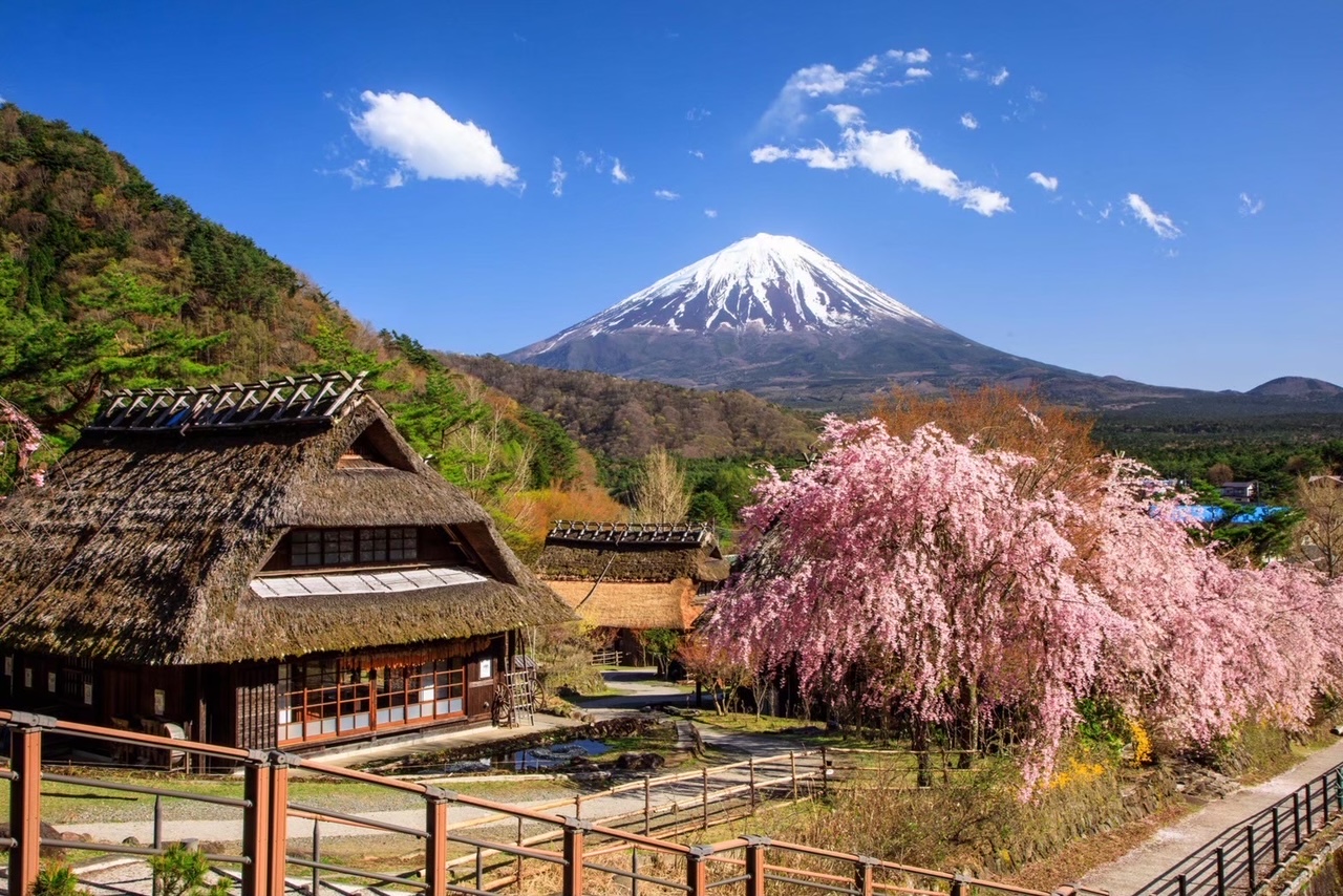 富士山美景與三得利白州蒸餾廠威士忌博物館（新宿出發）