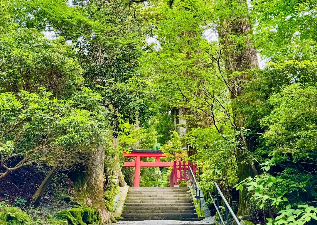【箱根熱海花火大會】一日遊｜蘆之湖遊船・箱根神社・熱海煙花盛宴｜東京出發