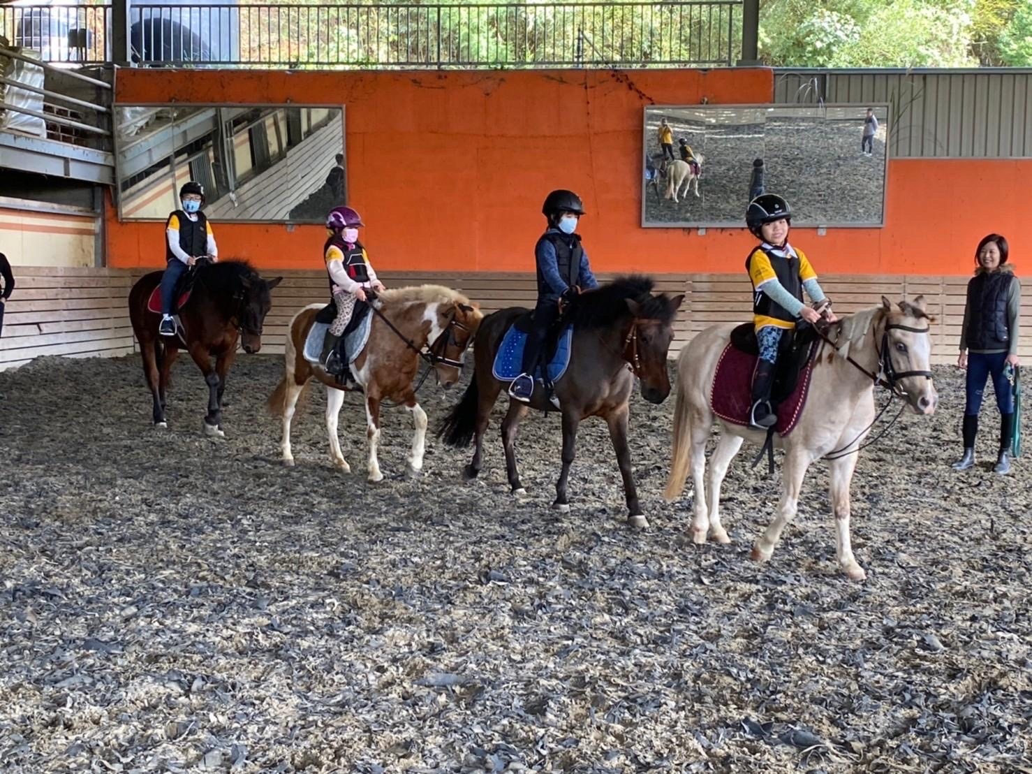 Hsinchu｜TAIRI Equestrian｜Equestrian Experience