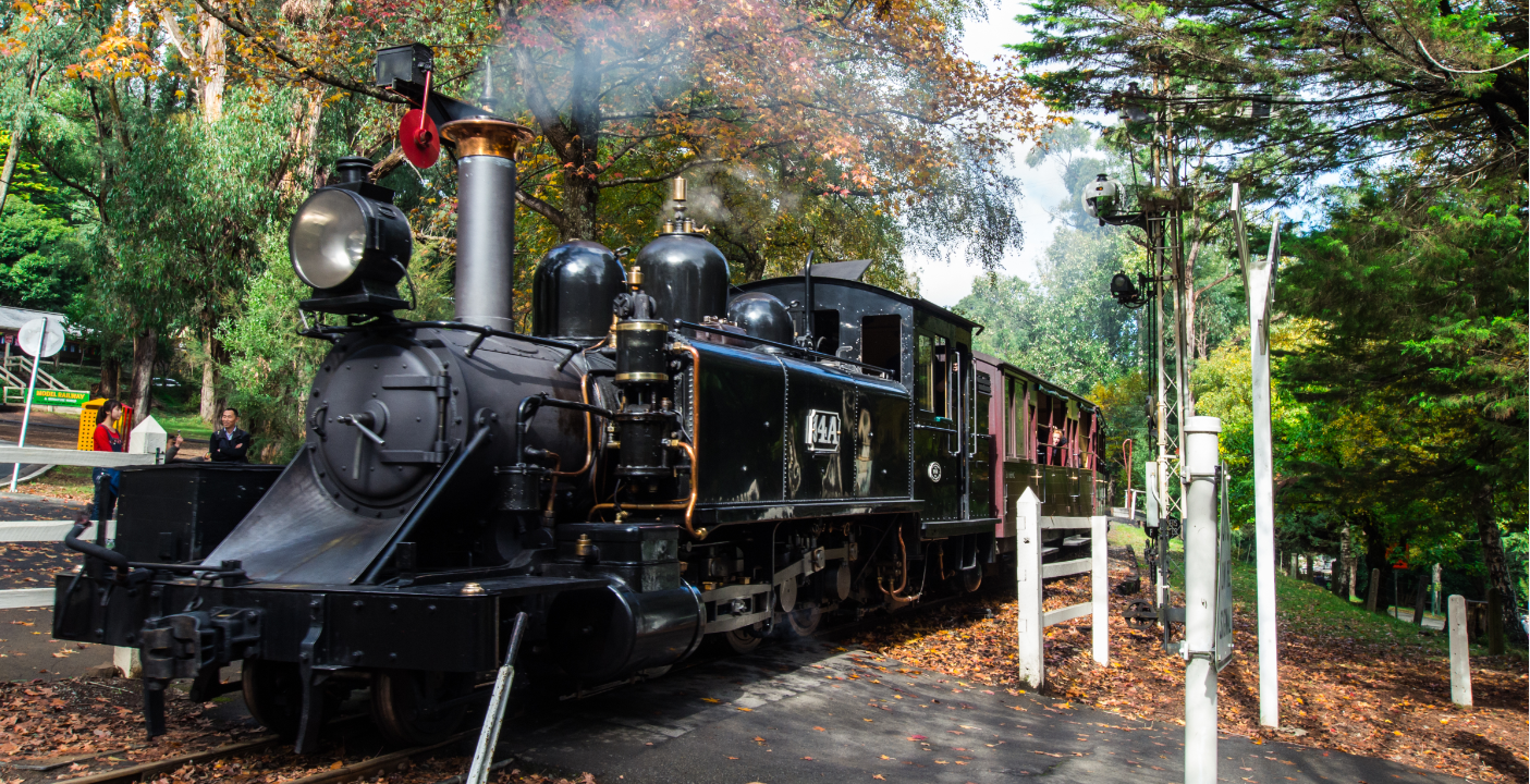 Steam Train & Wine Country Day Tour