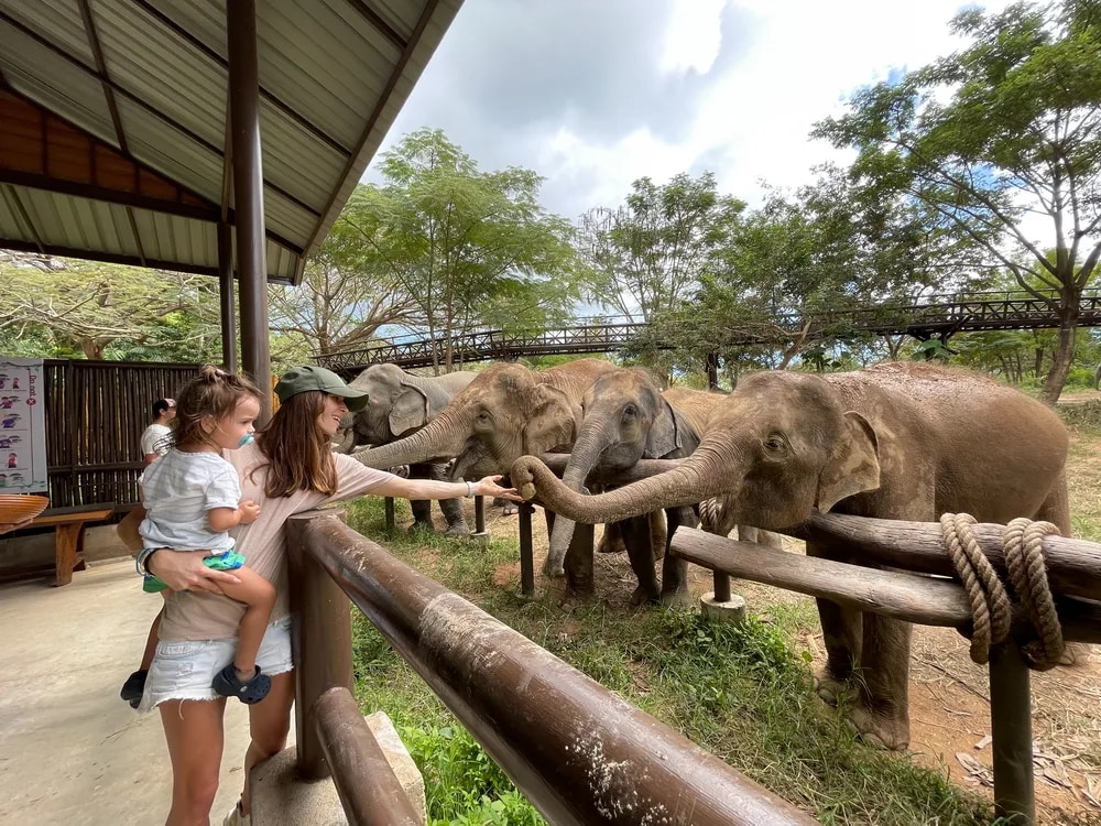 蘇梅島大象王國（Elephant Kingdom）體驗