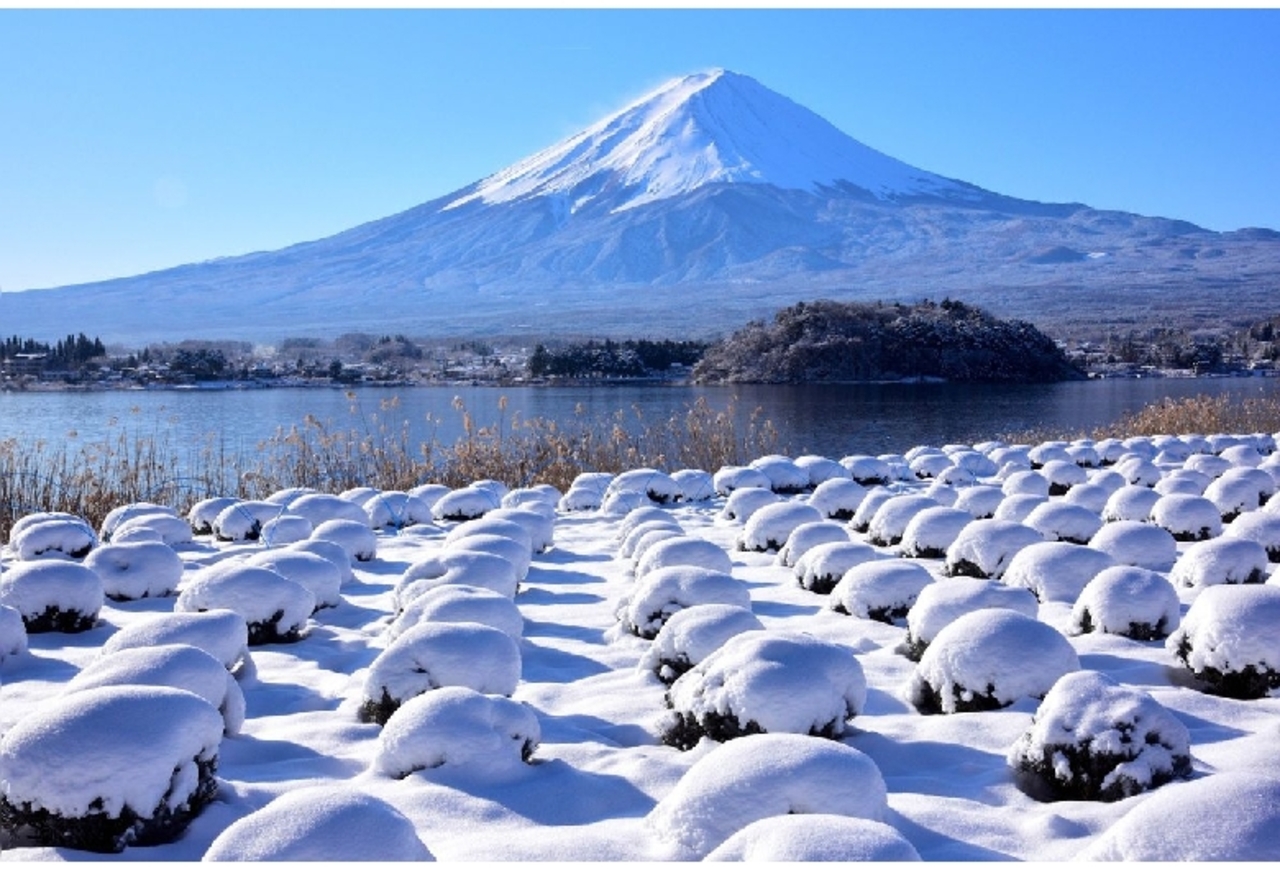 一般來說,每年 11 月中旬至隔年 4 月上旬,富士山會開始下雪,部分道路將會封閉。若遇無法登山的情況,我們將會更改行程景點,改為前往大石公園! 一般來說,每年 11 月中旬至隔年 4 月上旬,富士山會開始下雪,部分道路將會封閉。若遇無法登山的情況,我們將會更改行程景點,改為前往大石公園!