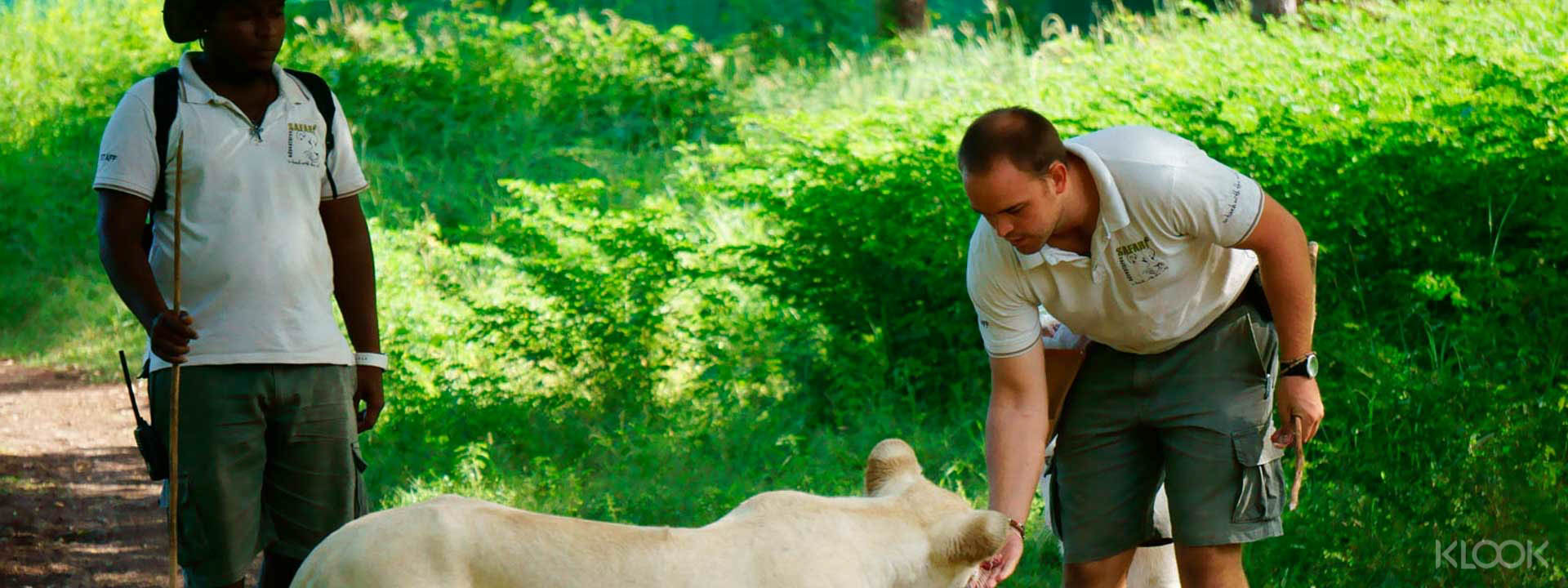 Casela Nature & Leisure Park