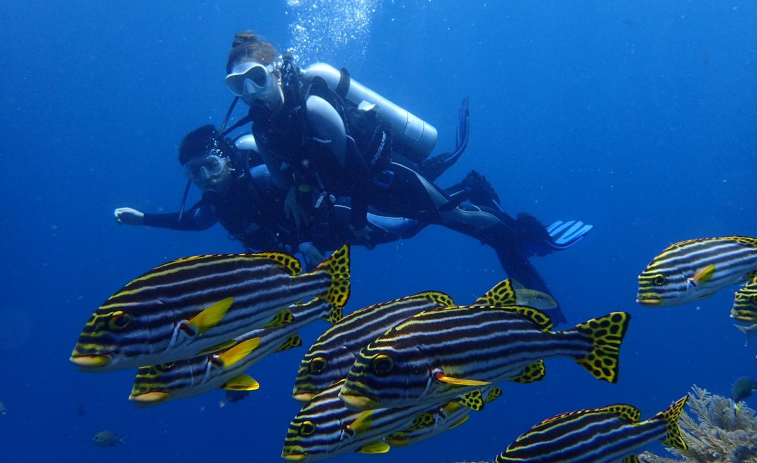 Beginner Scuba Diving Experience in Bali 4