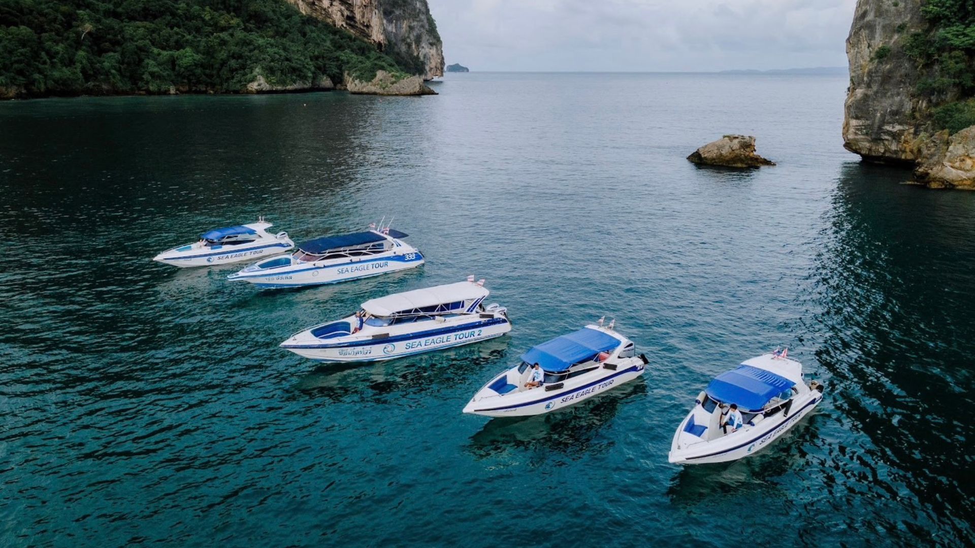 Phi Phi Island Speedboat Day Tour from Krabi by Sea Eagle