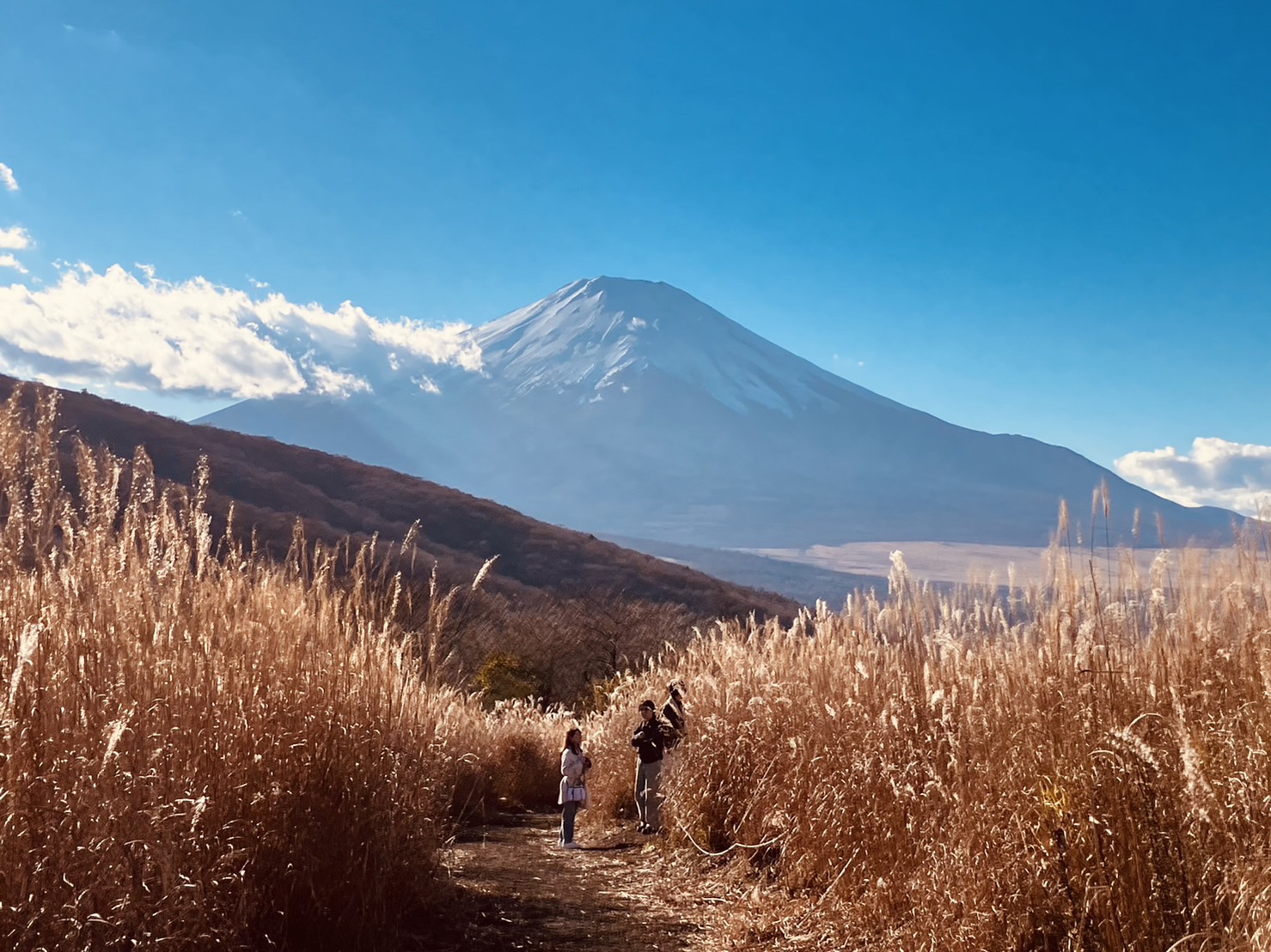 【富士山羅森便利店打卡及雙湖一日遊】 -富士山洞窟鳴澤冰穴, 河口湖，山中湖(上野或新宿出發  午餐可選神戶牛肉涮涮鍋定食)