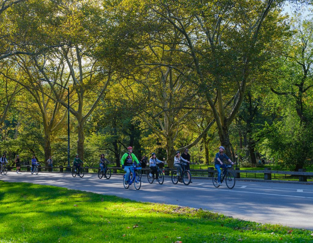 Central Park Bike Tour & See 30+ NYC Sights Walking Tour