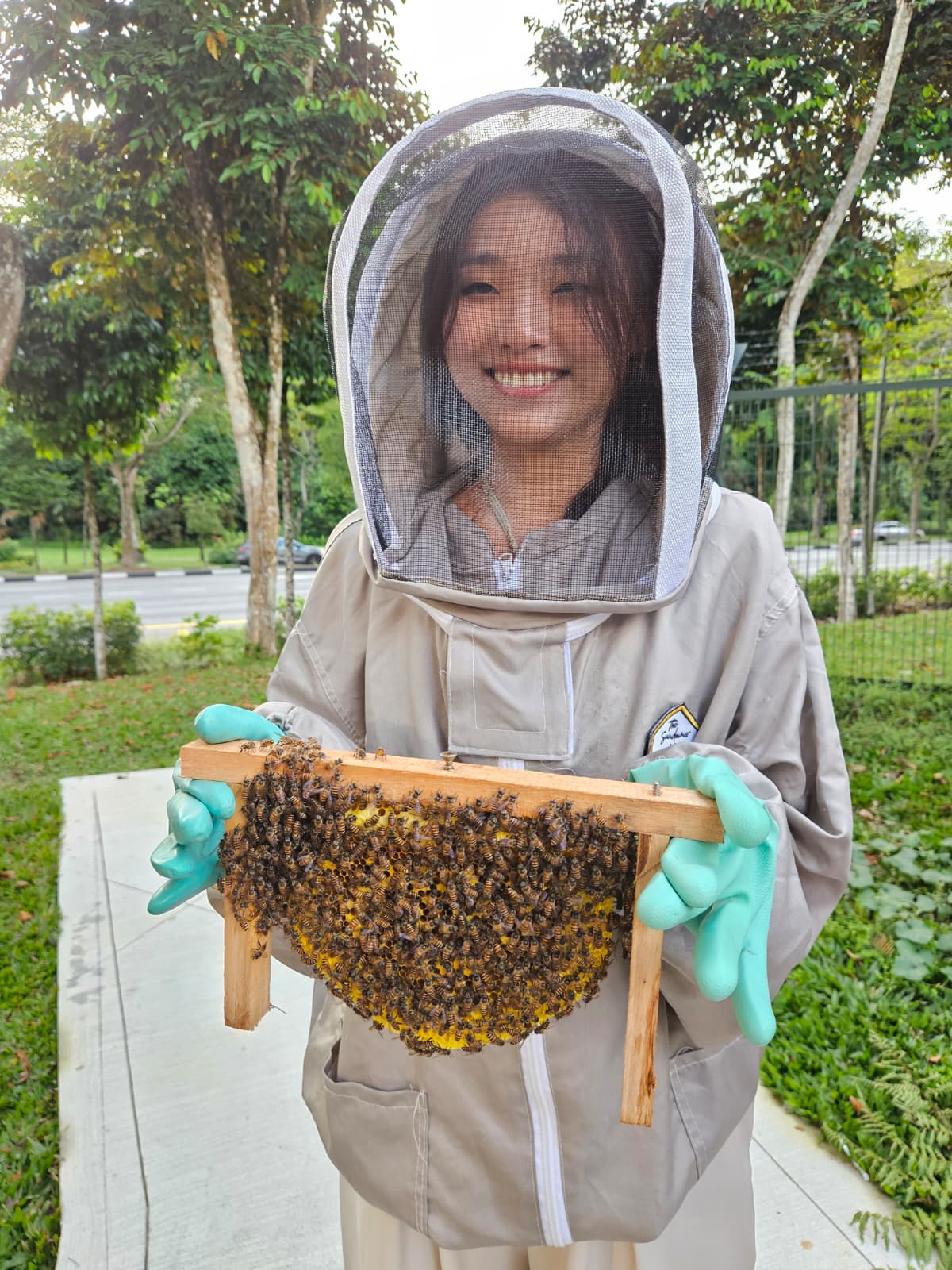 Meet our friendly bees at our apiary