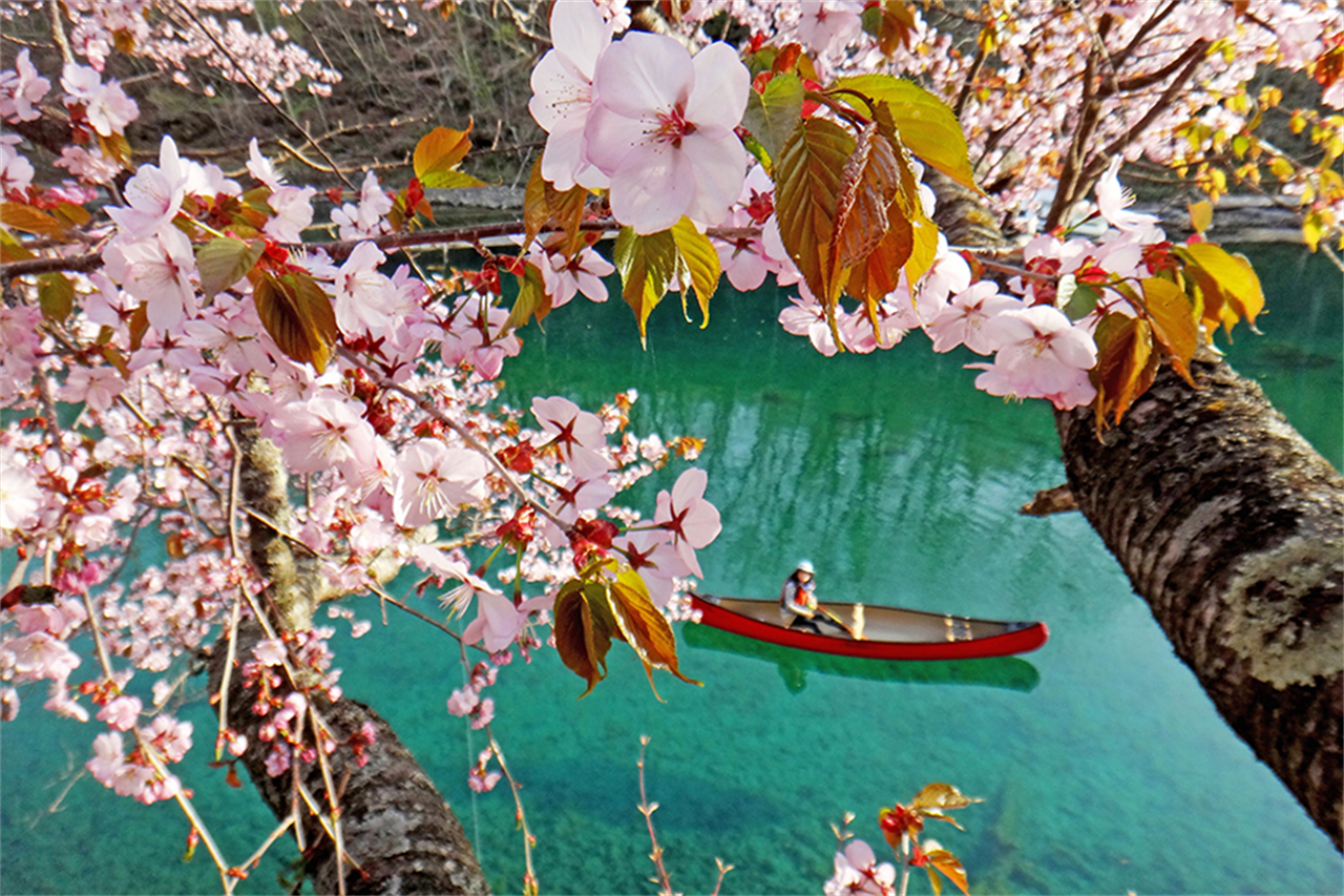 支笏湖·登別尼克斯海洋公園·洞爺湖千與千尋湖底鐵道·展望臺·天狗山·小樽·巖藻山夜景二日遊｜札幌出發