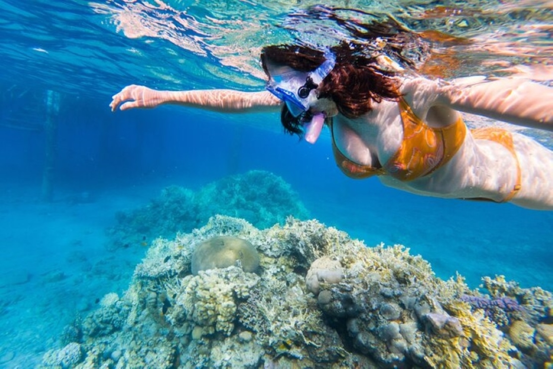 蒂朗島浮潛之旅(含午餐和接送) - 埃及沙姆沙伊赫 蒂朗島浮潛之旅(含午餐和接送) - 埃及沙姆沙伊赫