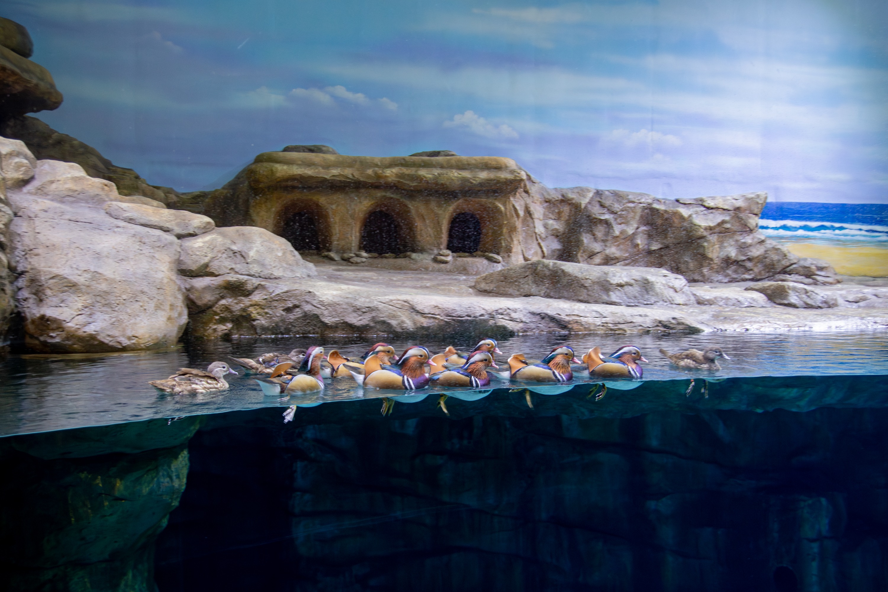 河內樂天世界水族館門票