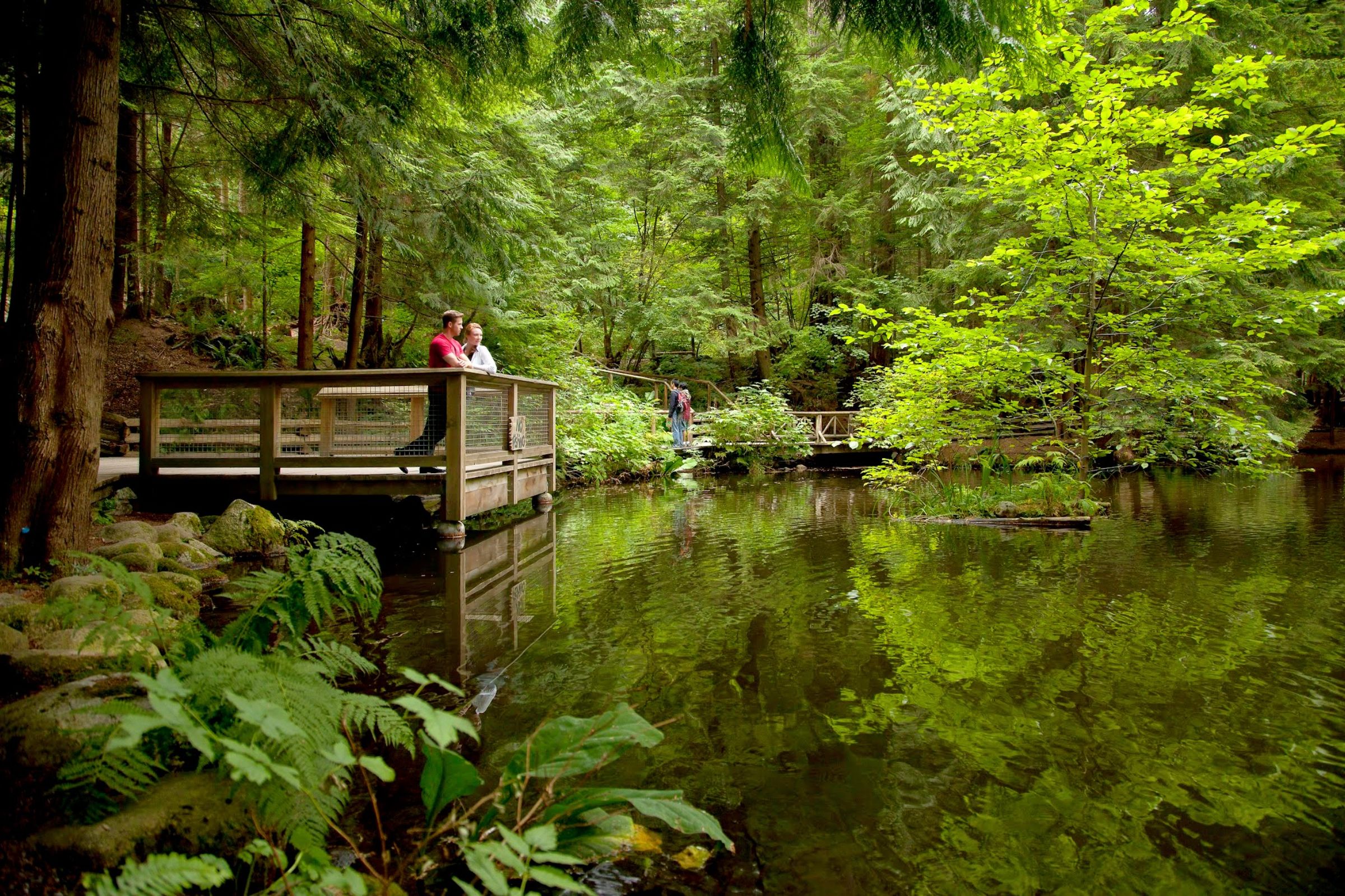 Grouse Mountain and Capilano Suspension Bridge Park Tour